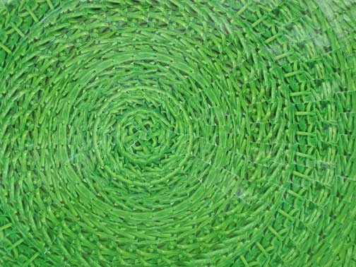 wovengreenbeandetail.jpg