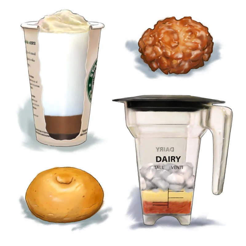 Spot illustrations / Training manual Client: Starbucks (2009)