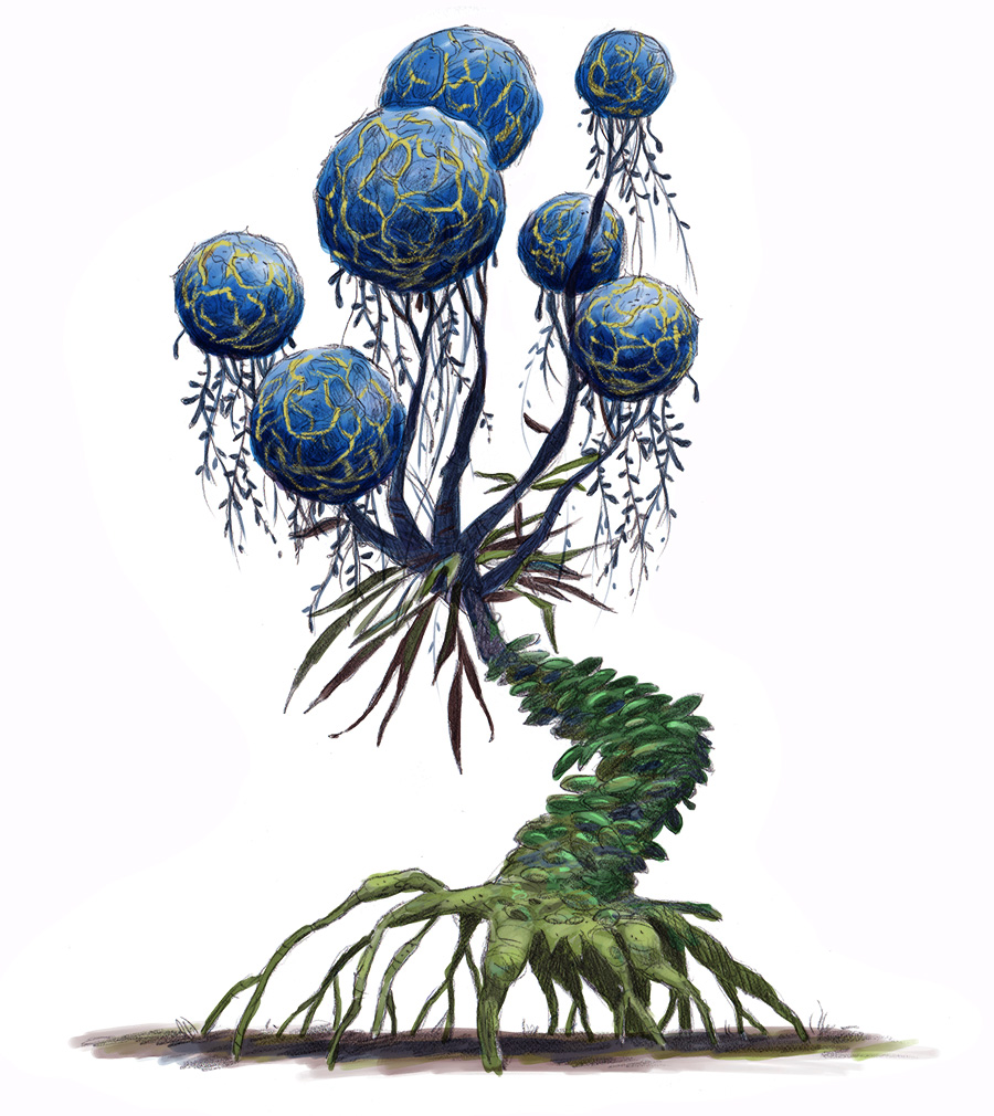 Concept art / Avatar Plant Designer game Agency: Belle & Wissell Client: Experience Music Project ( 2011)