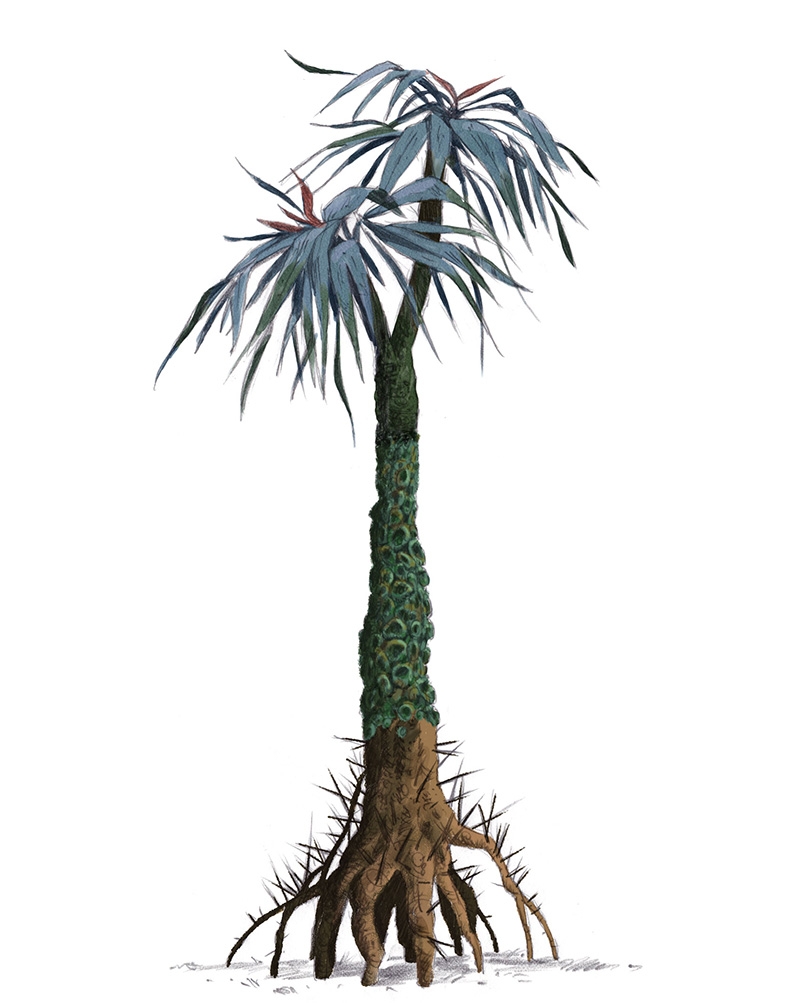 Concept art / Avatar Plant Designer game Agency: Belle & Wissell Client: Experience Music Project ( 2011)