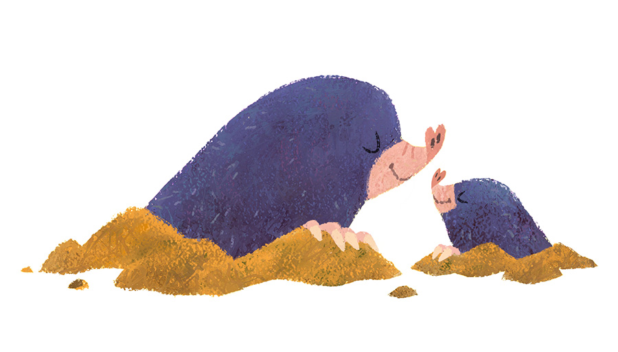 All Kinds Of Kisses Publisher: Feiwel & Friends / Macmillan (2016)