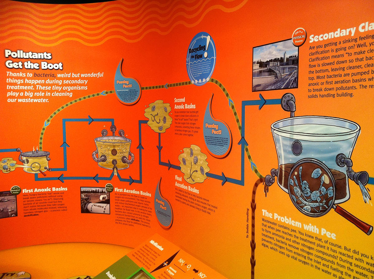 Natural Water Cycle wall section / WET Science Center installation Client: LOTT Clean Water Alliance (2009)