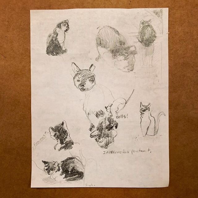 Everyday is Caterday in QT. #quarantinesketchbook #cats #sketchbook #kitkat #blahblahblahcats #HBforlyfe