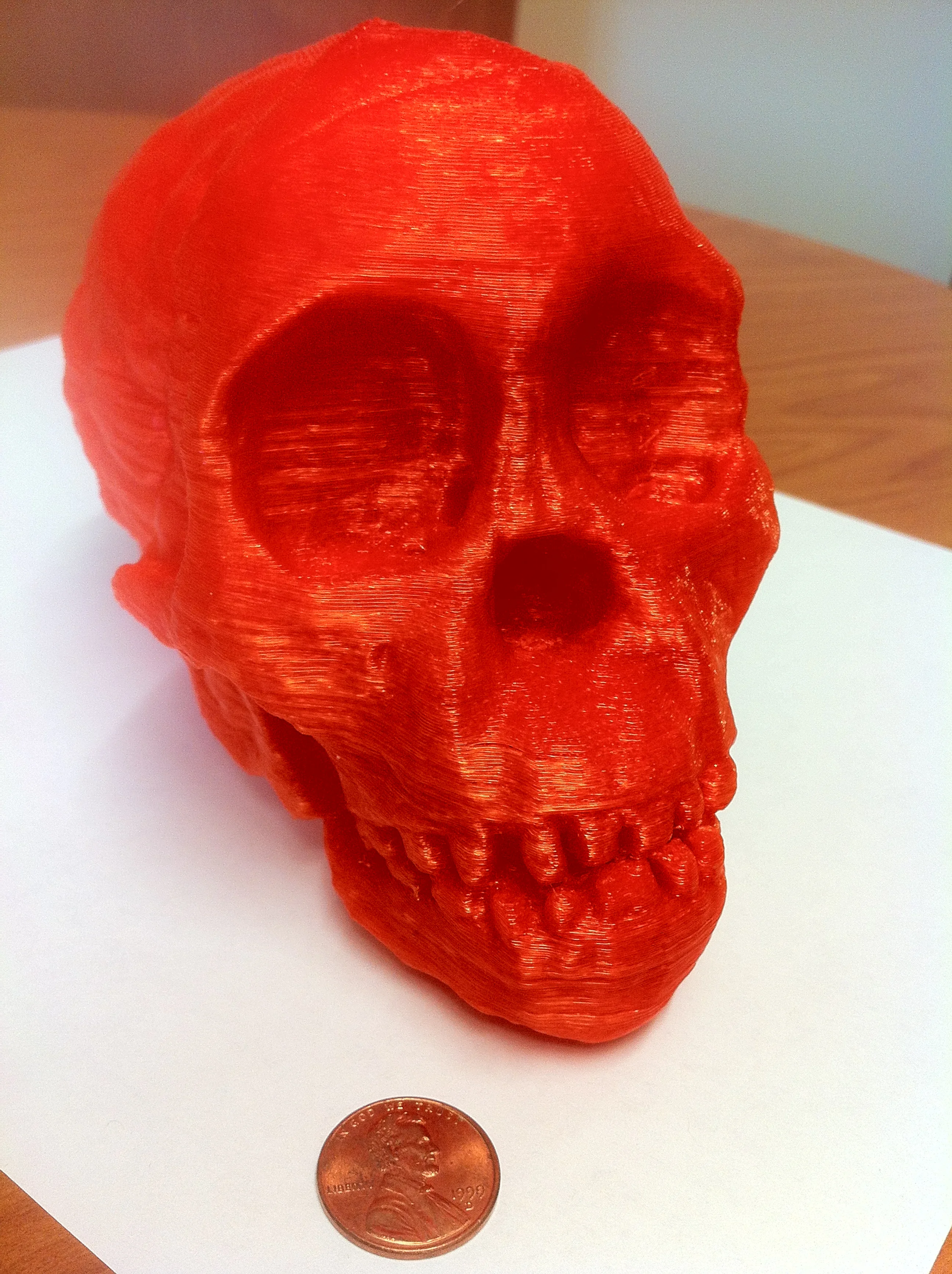 Skull2.JPG