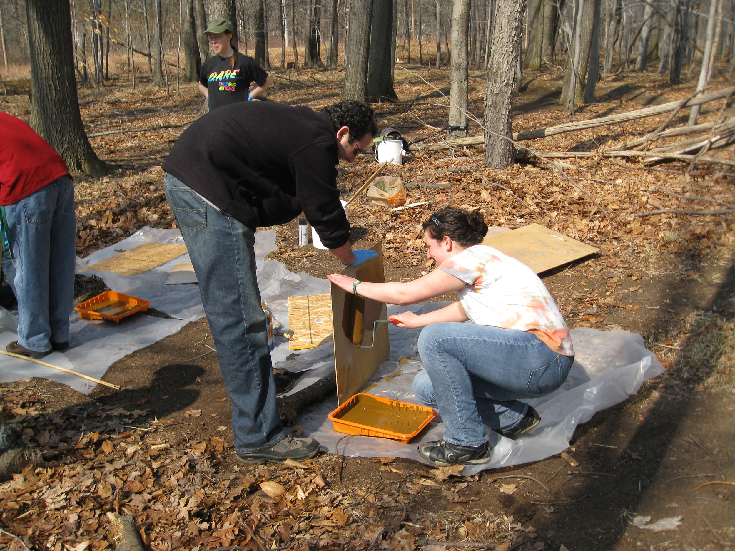 Preparing shelter boards for reptile/amphibian survey