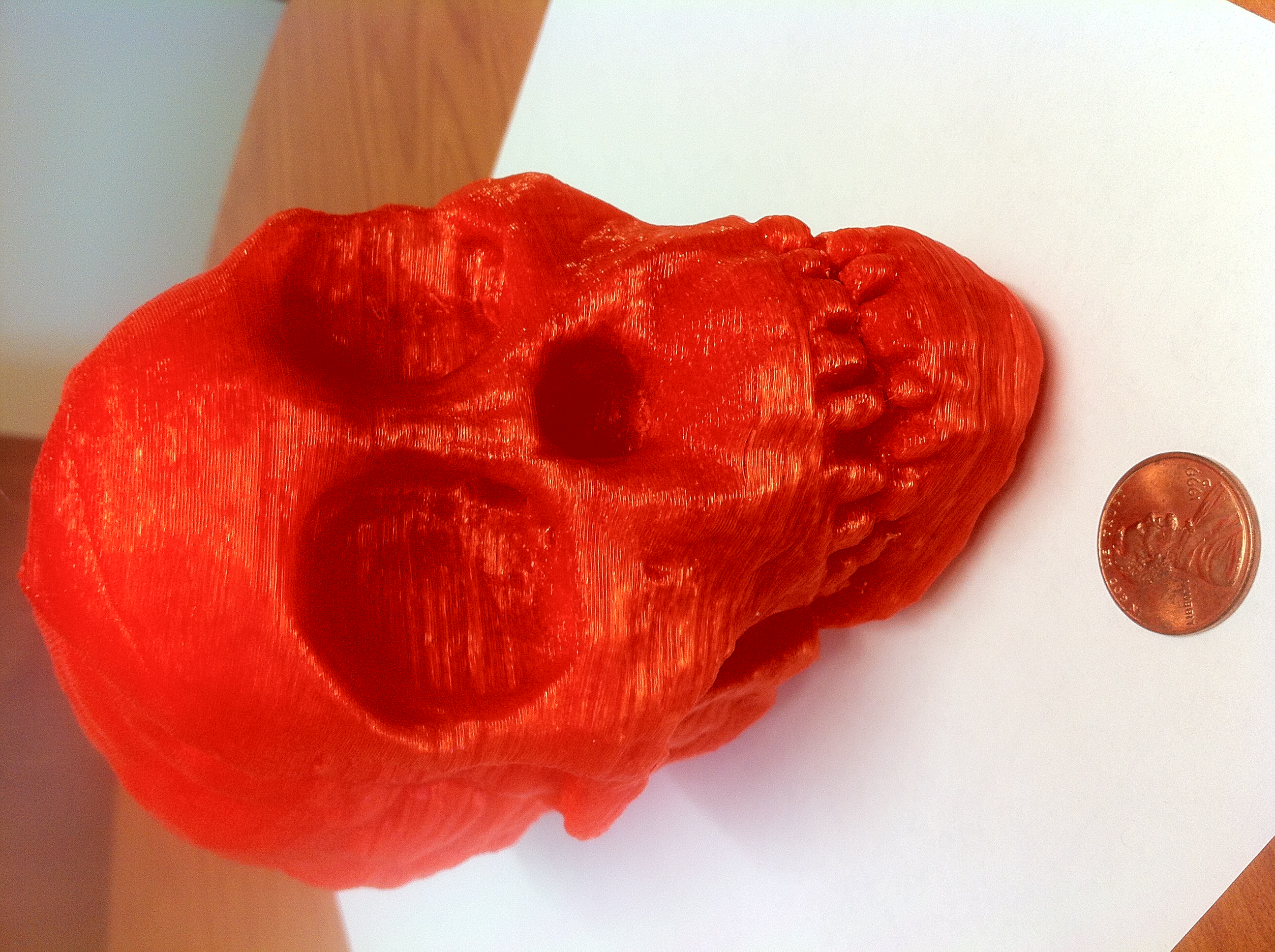 3D printed Australopithecus africanus