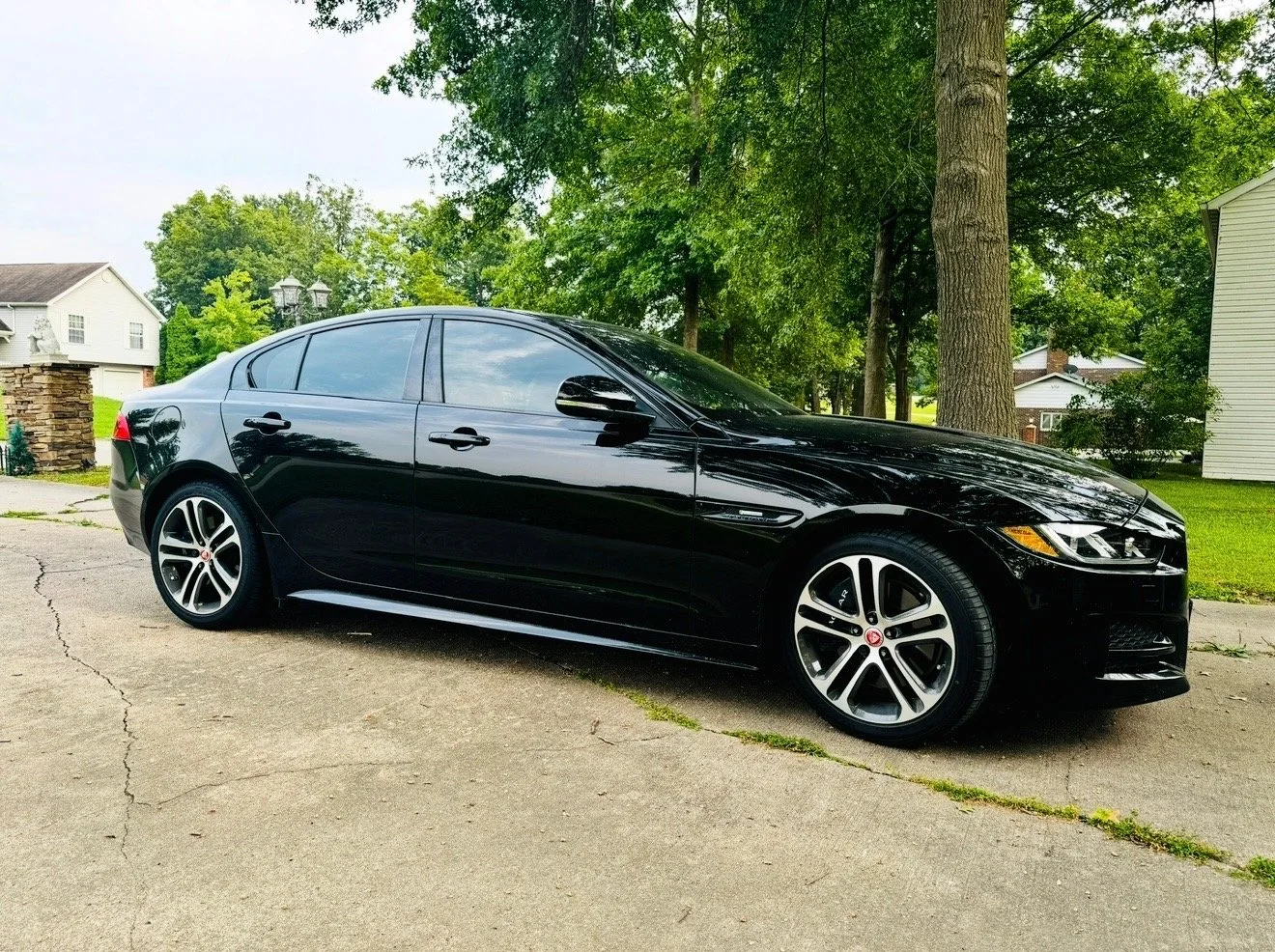 The Sneak Peek - Weekly Auction