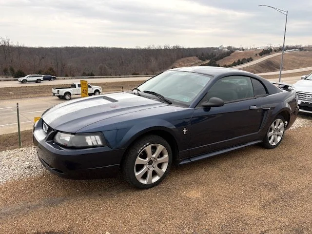 The Sneak Peek - Weekly Auction