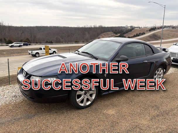 The Sneak Peek - Weekly Auction