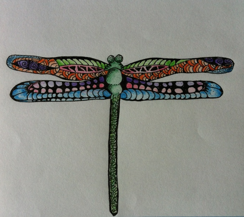 dragonfly .png