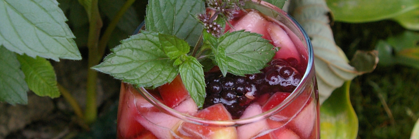 Add a fresh sprig of a flowering herb just before serving makes your drinks distinctive and beautiful.