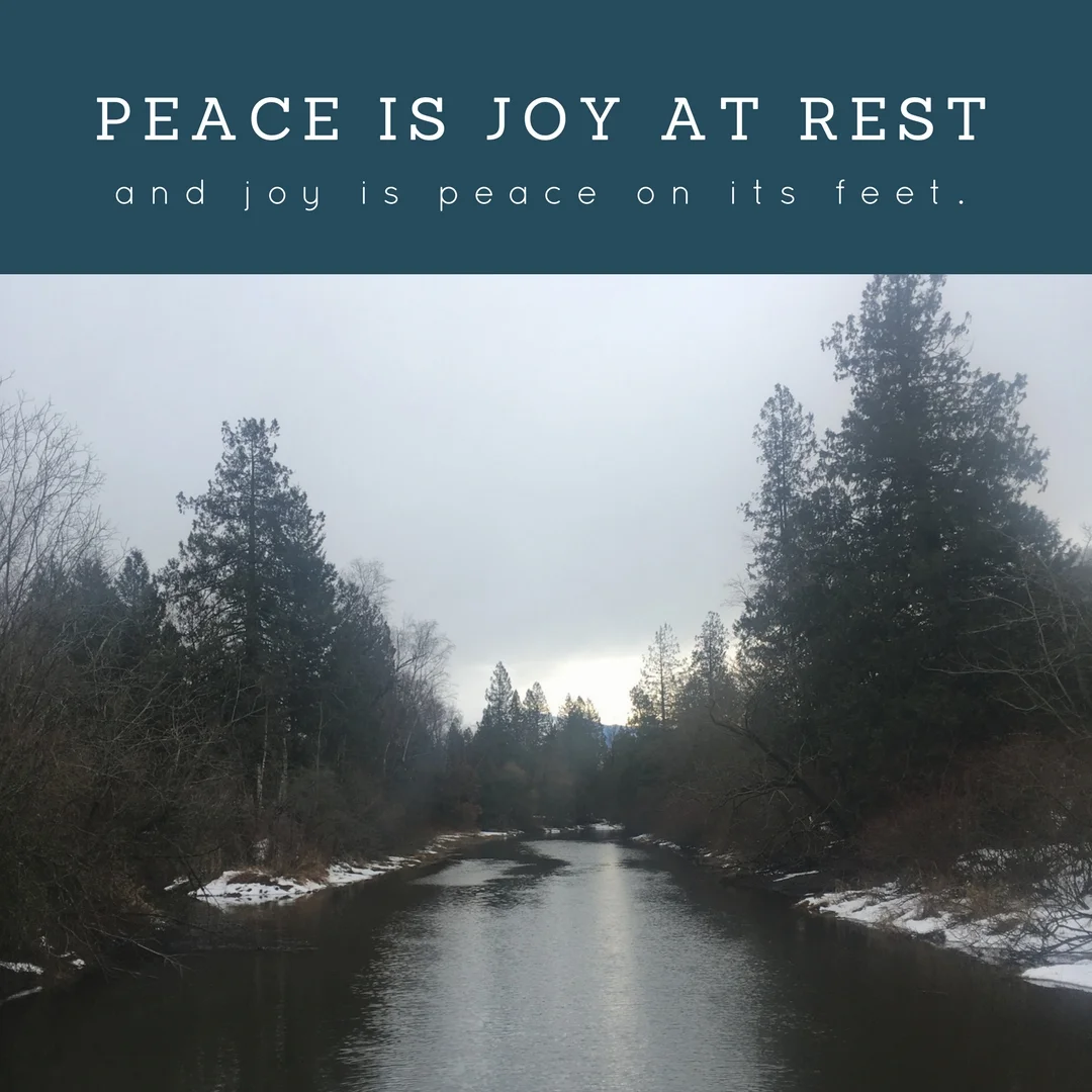 Peace is joy at rest.jpg