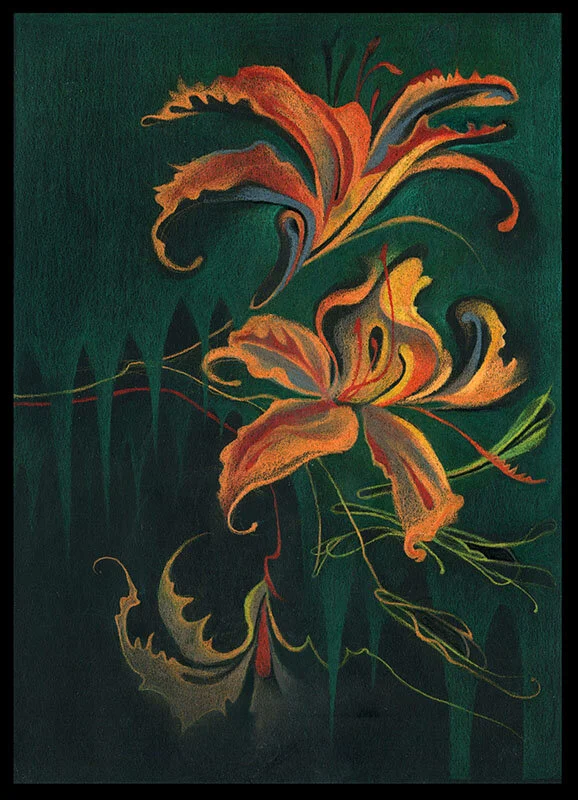 Nature Bites at Night, 2019