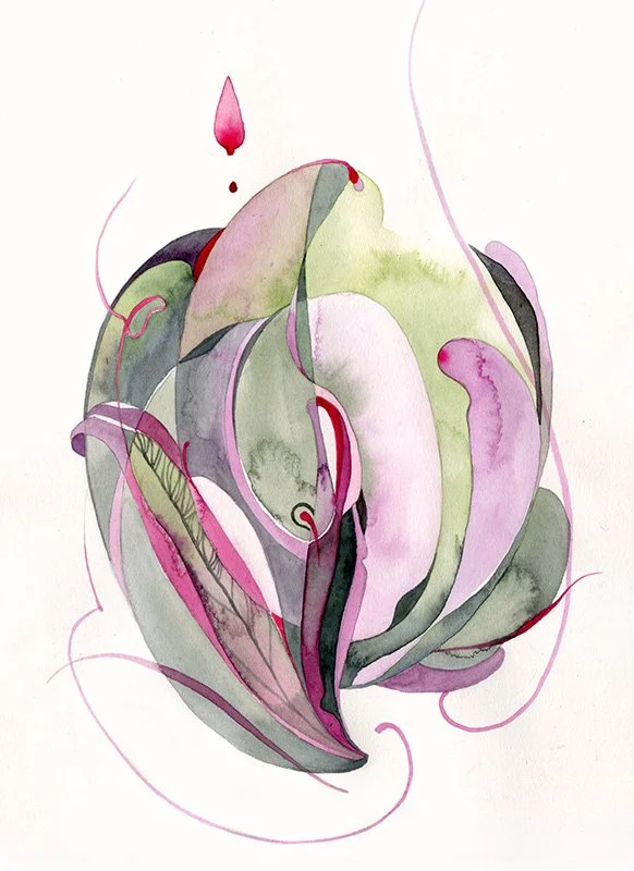 Bryophyllum Fedtschenkoi, 2021