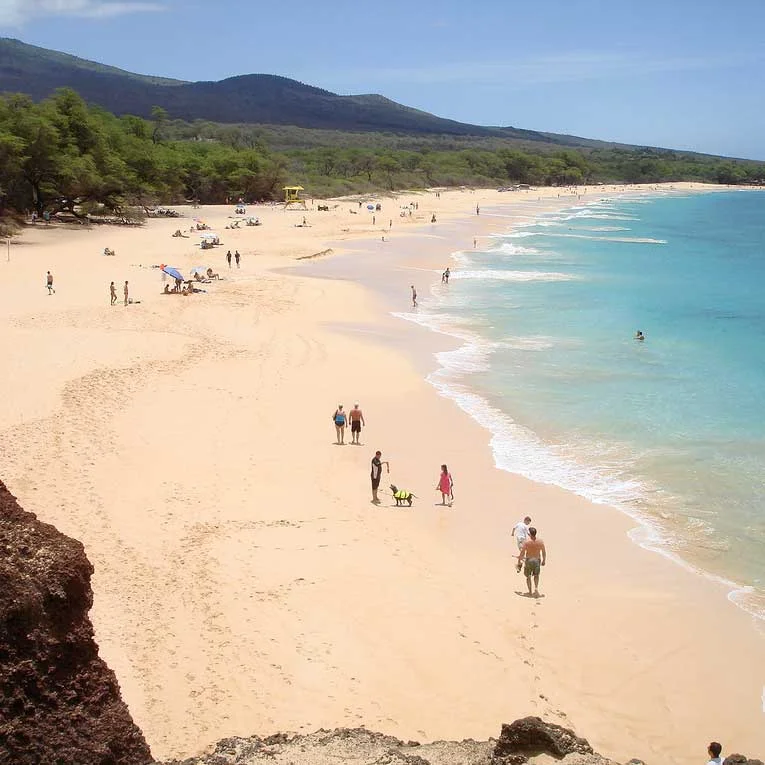bigBeach.jpg