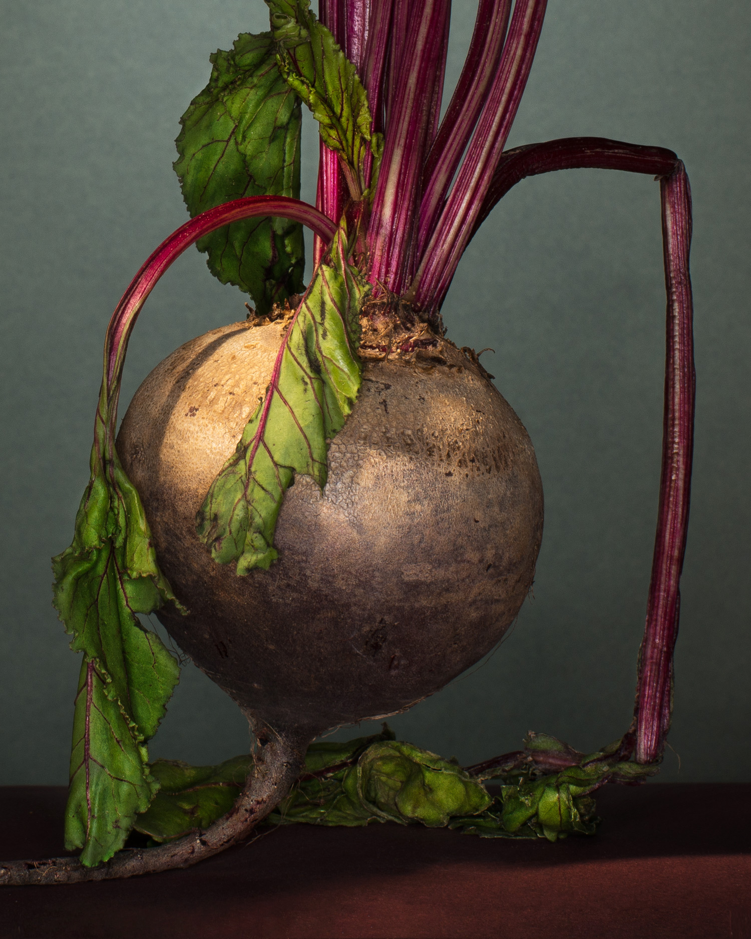 beet-matthew-kashtan-photography.jpg