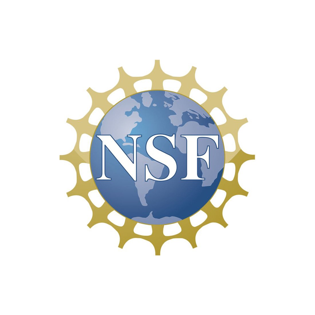 nsf smaller square2.jpg