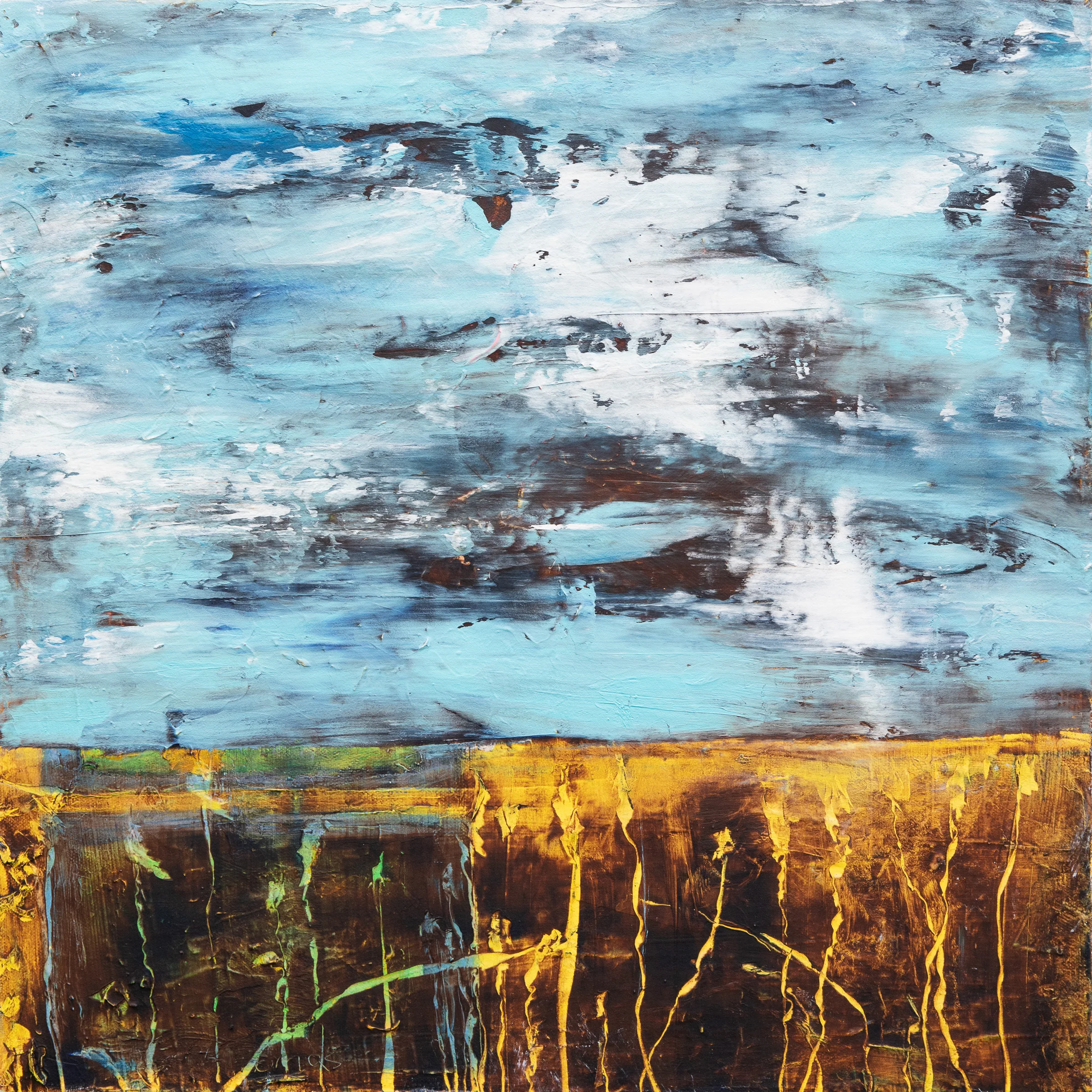 Phantom Fields
