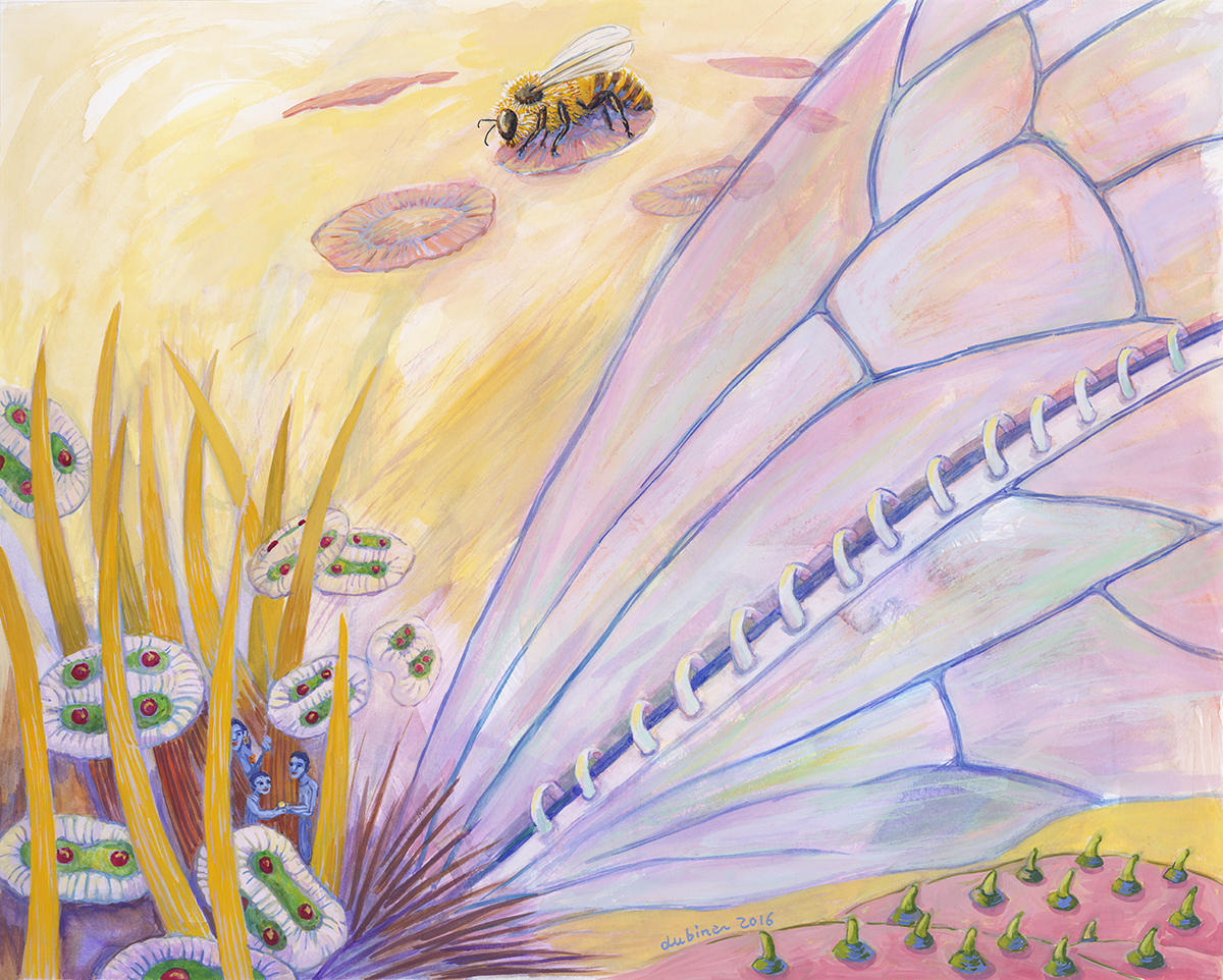 Bee's Wings