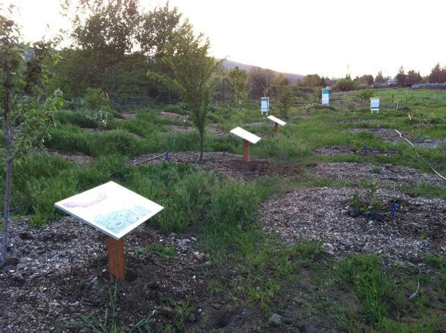 Halfway along the path leading to the apiary