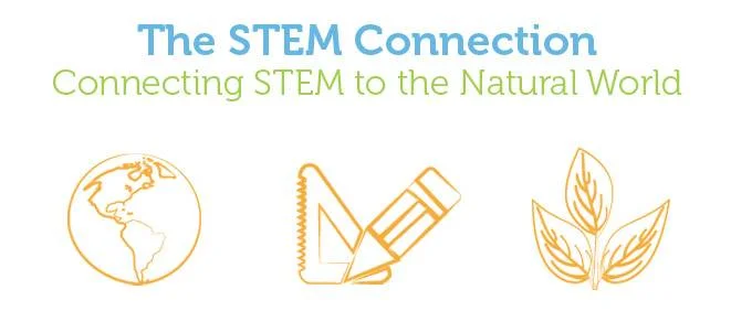 the stem connection.jpg