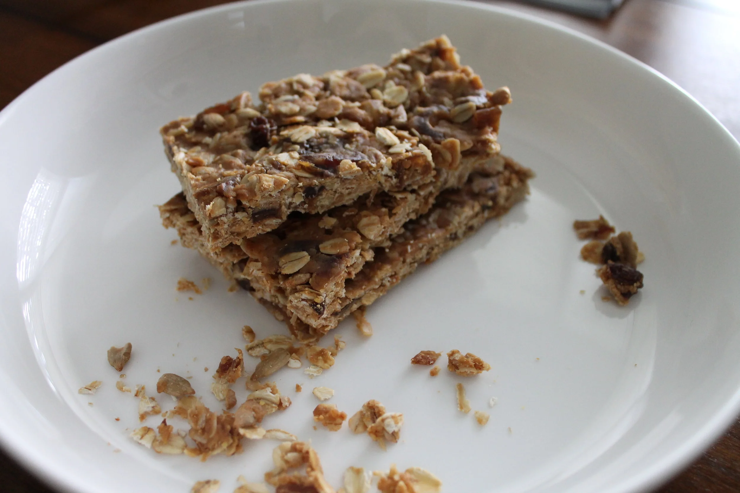 Toasted Oat Granola Bars
