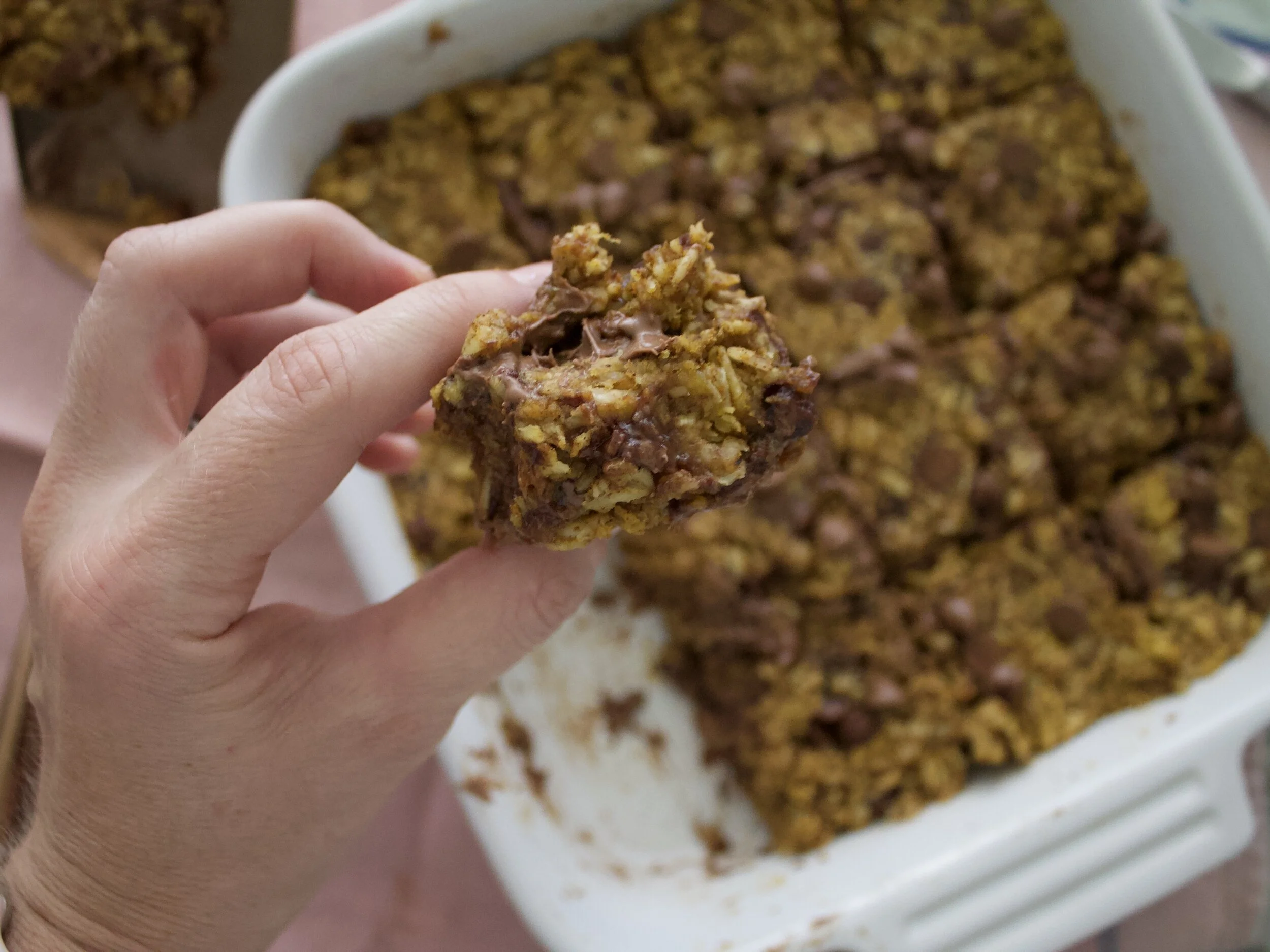 Banana Pumpkin Oat Bars