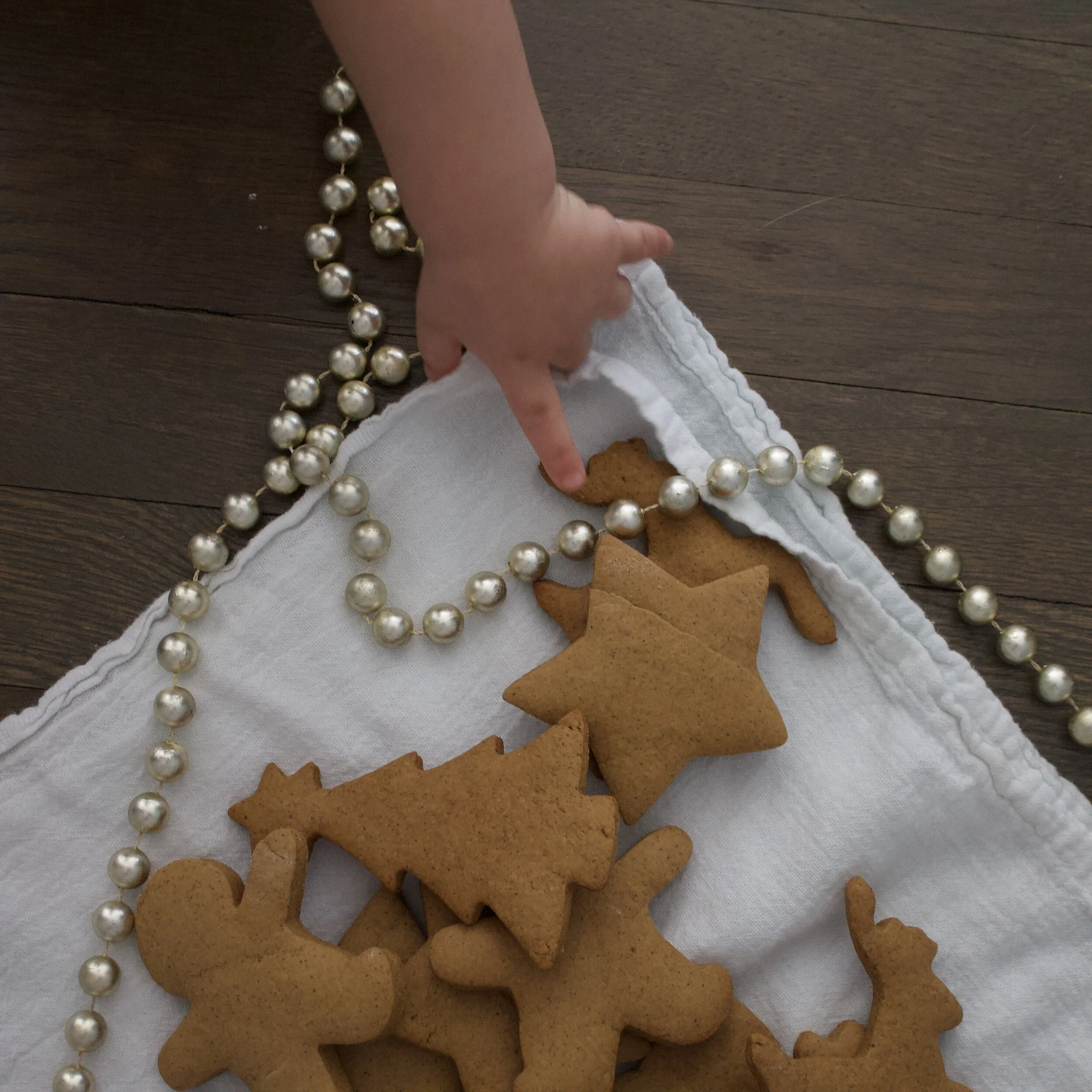 Kid Friendly Gingerbread Cookies