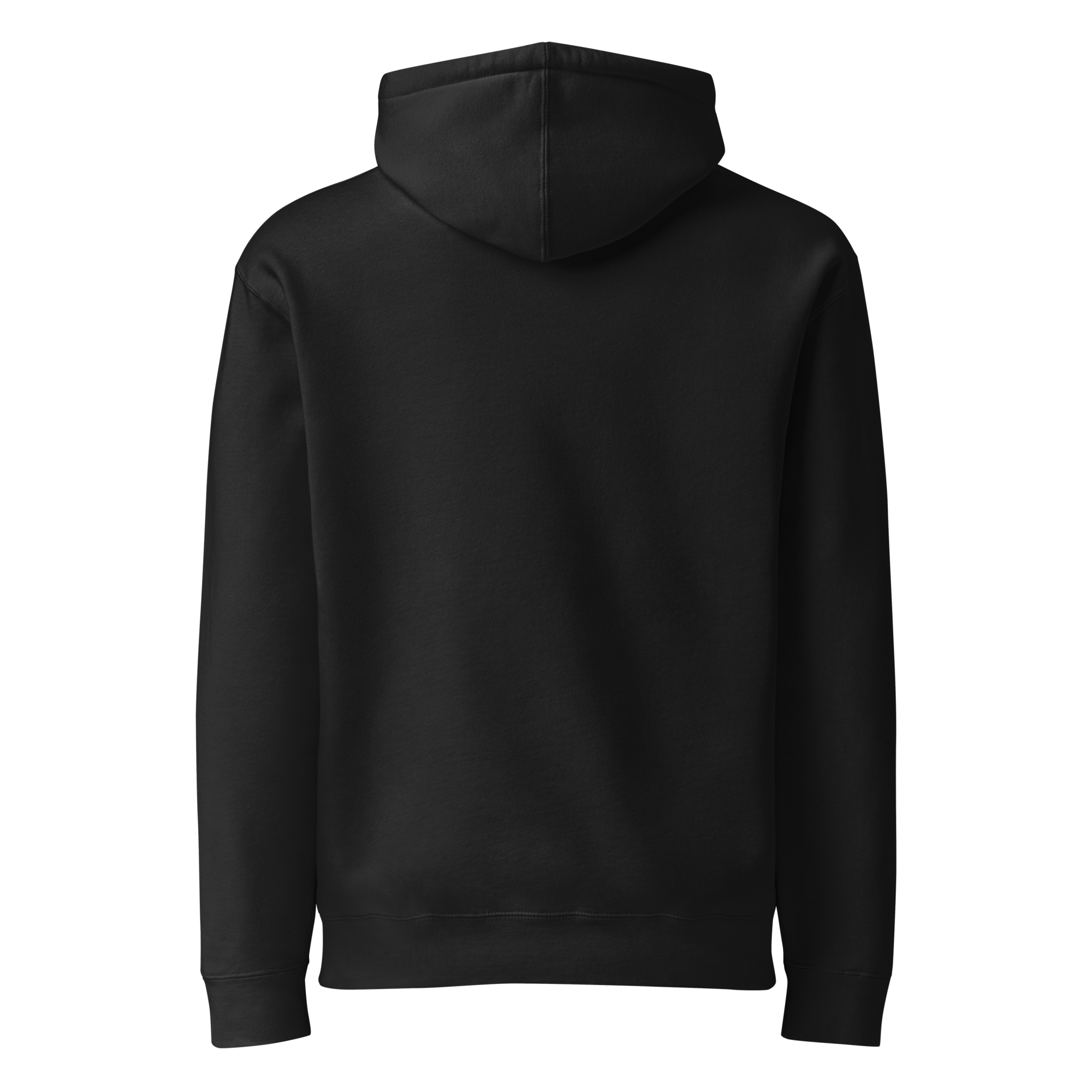 unisex-heavyweight-hooded-sweatshirt-black-back-6a3f0ae917af2.png