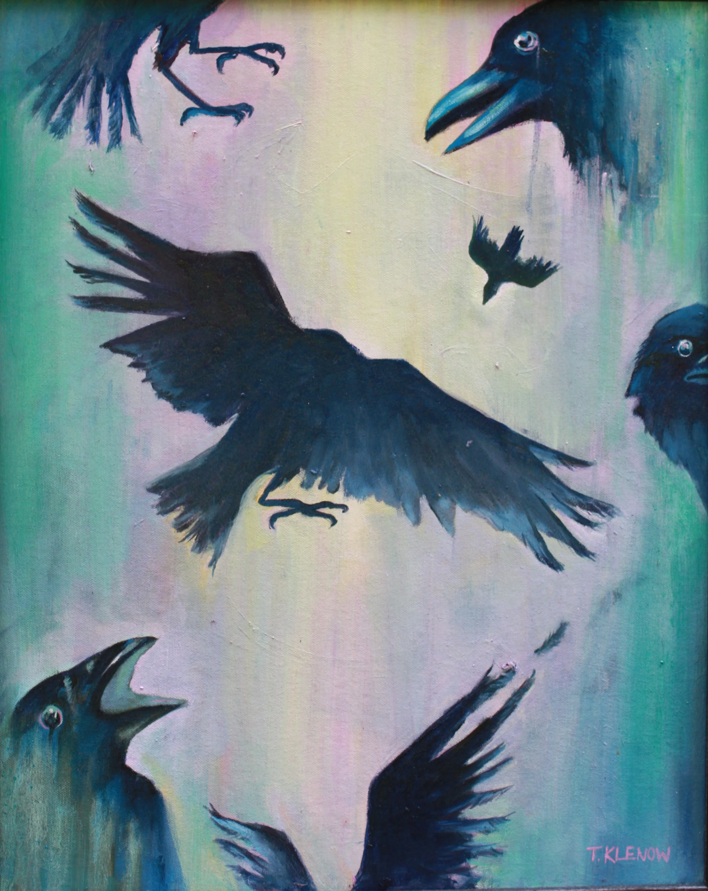 7 Ravens