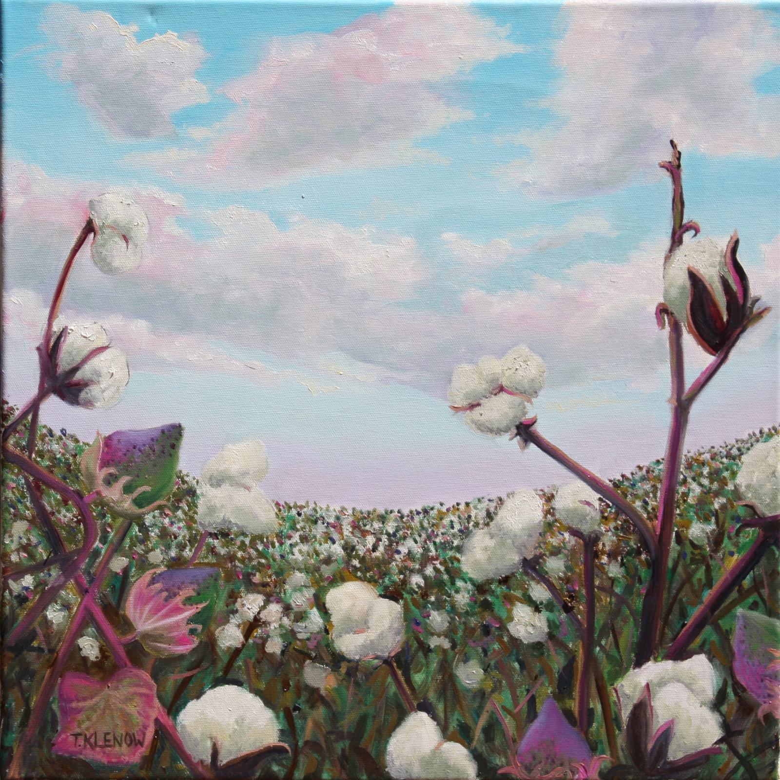 Cotton