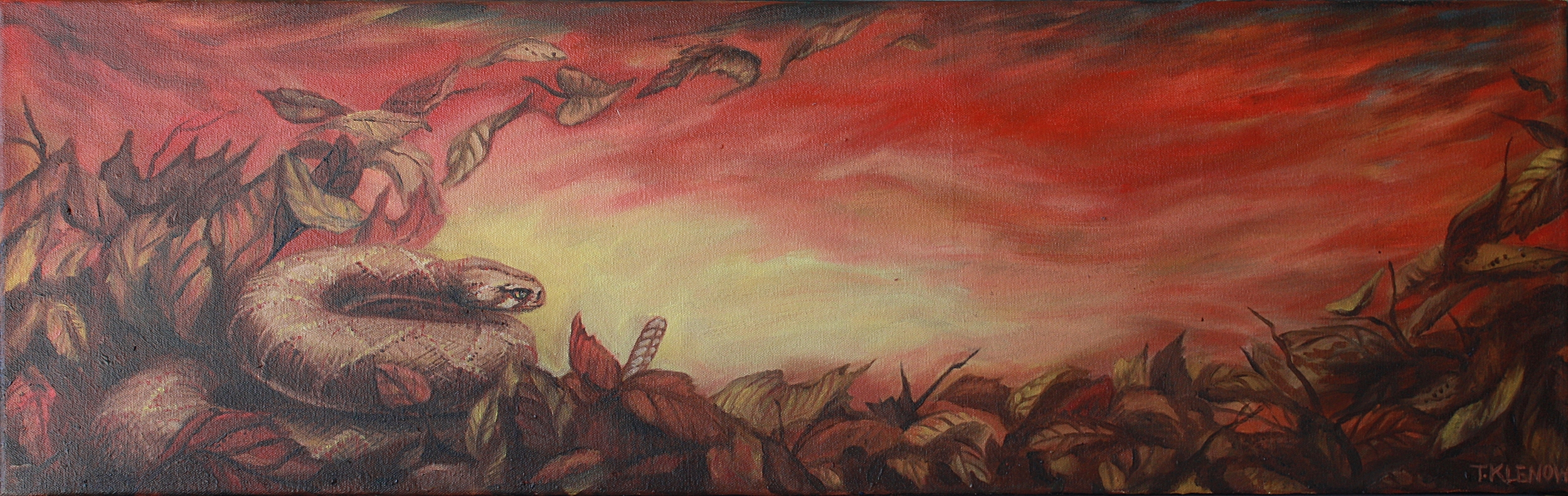 Long Fall