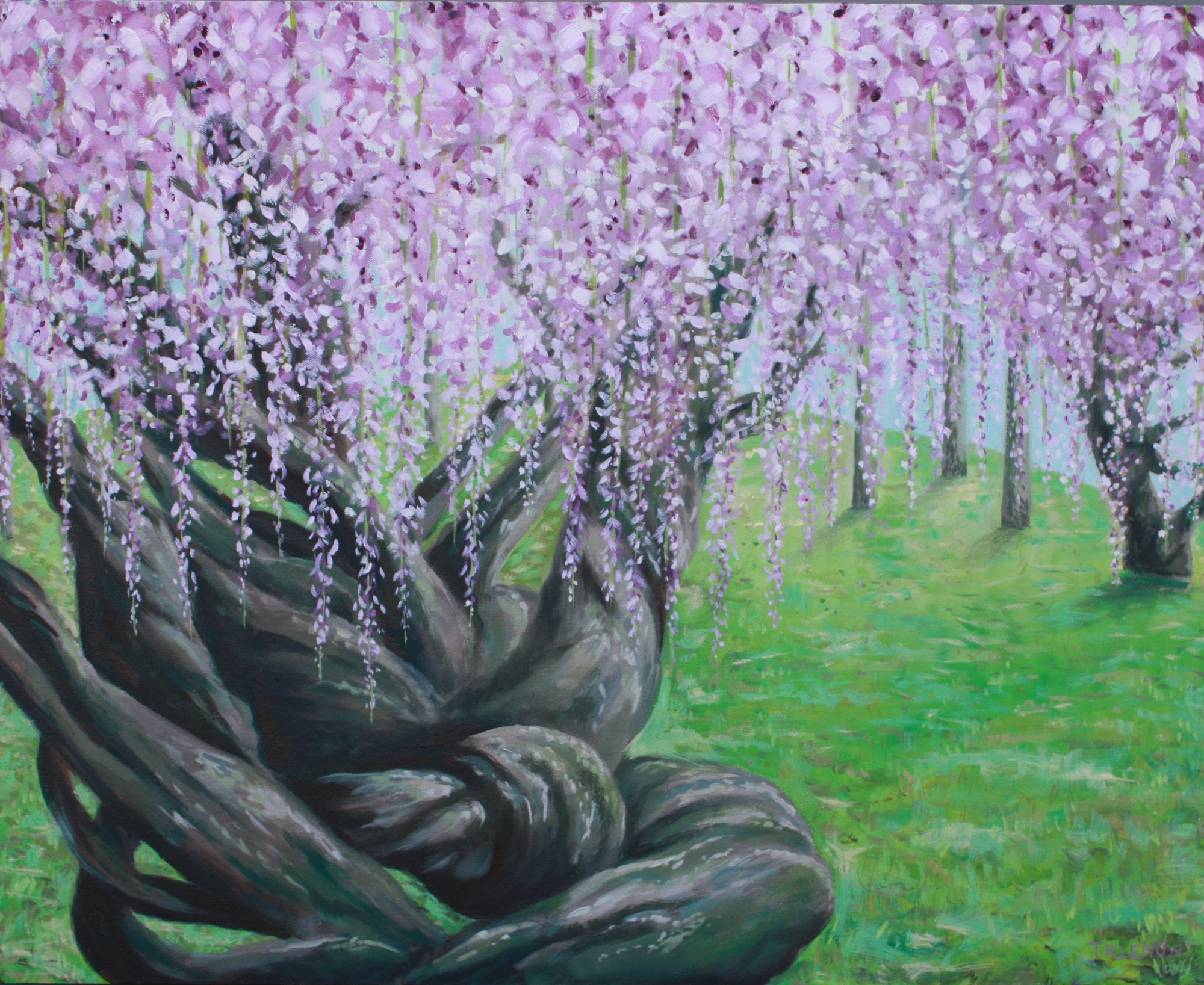 Wisteria