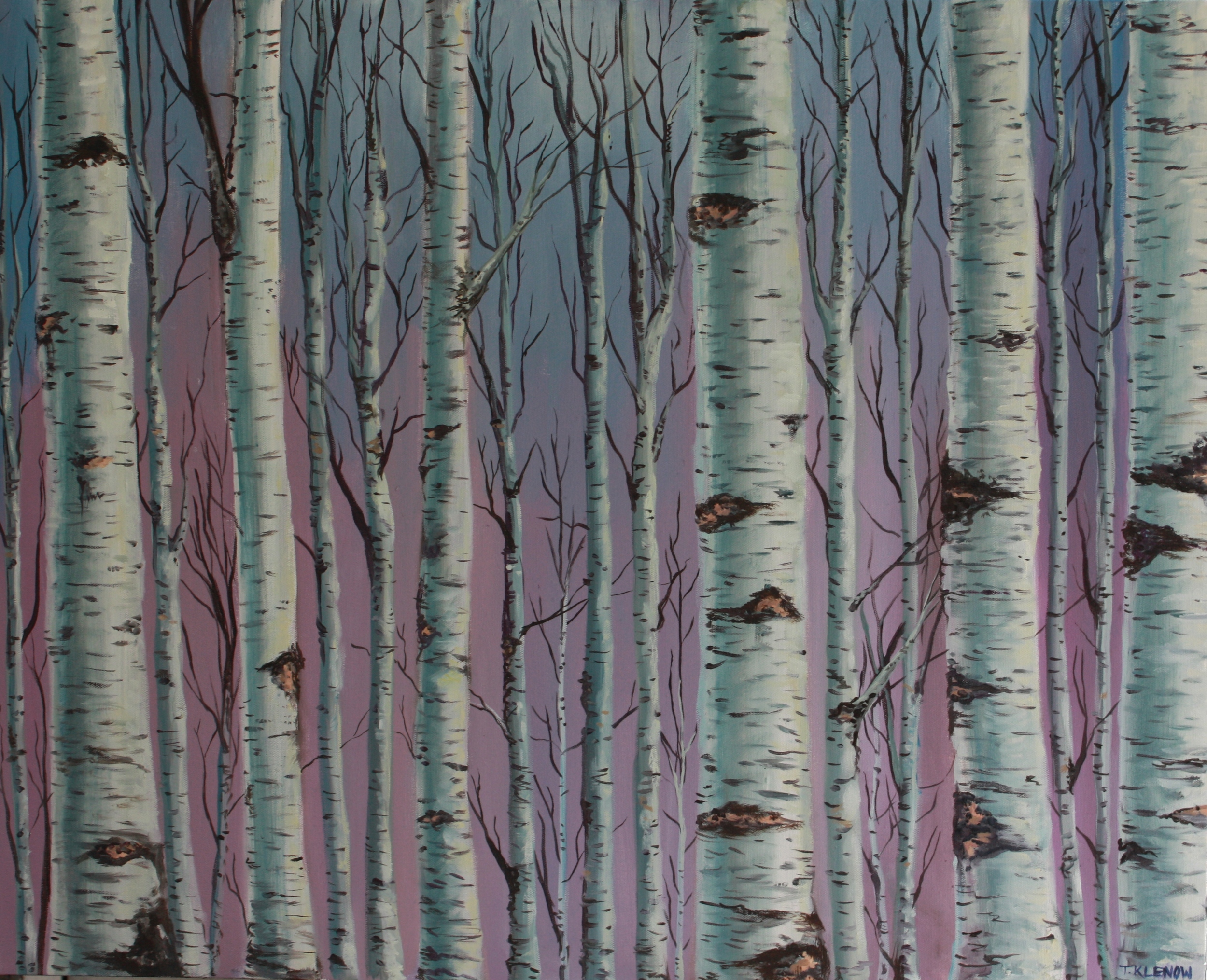 Birch Forest