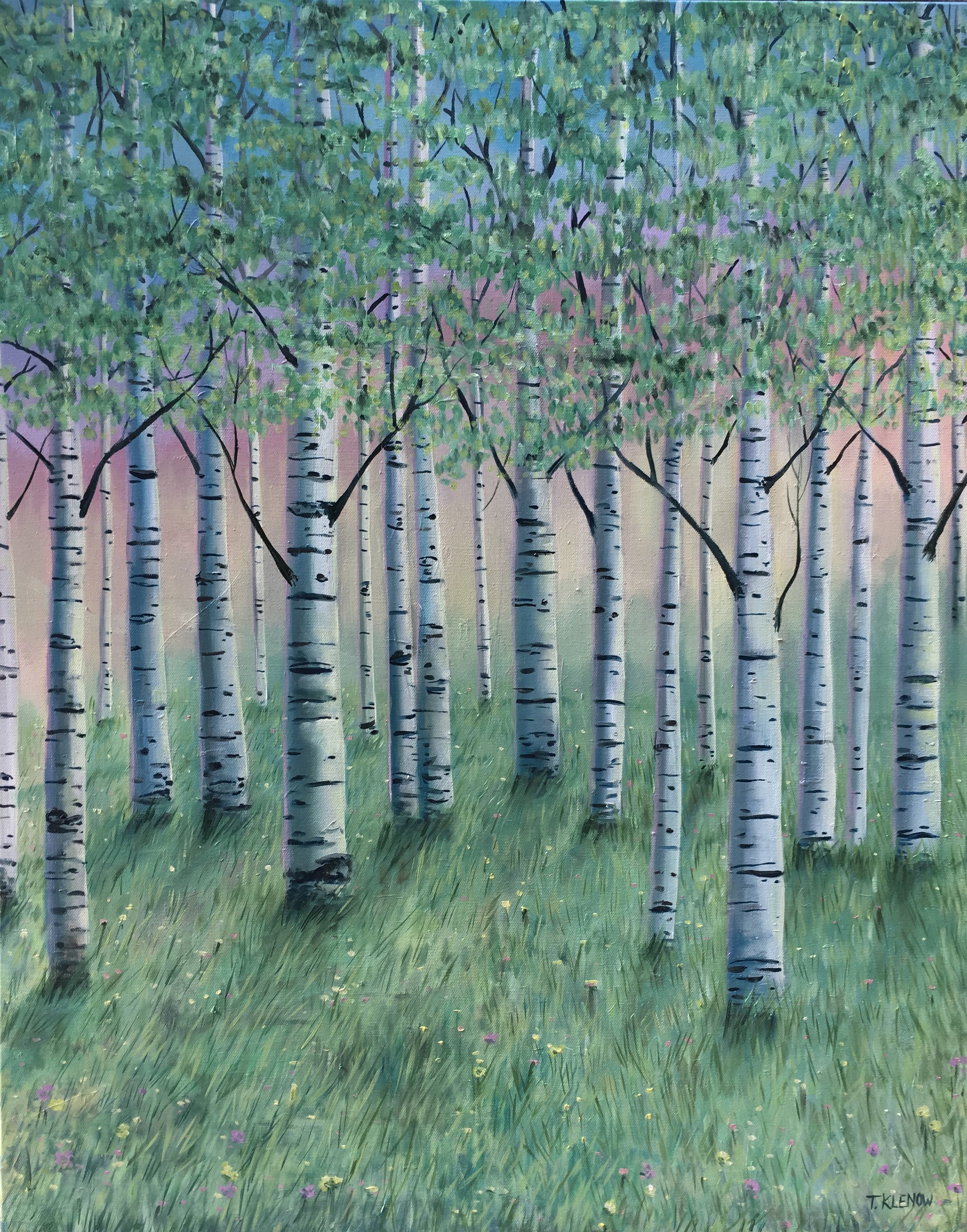 Birch Spring