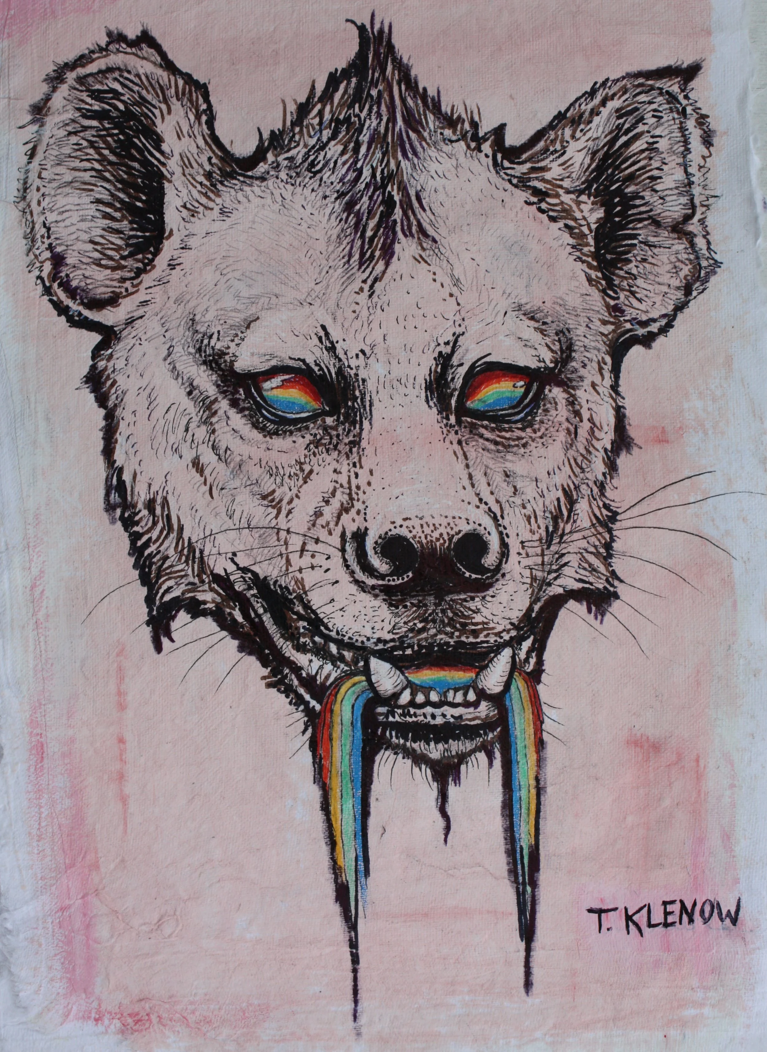 Hyena Rainbow
