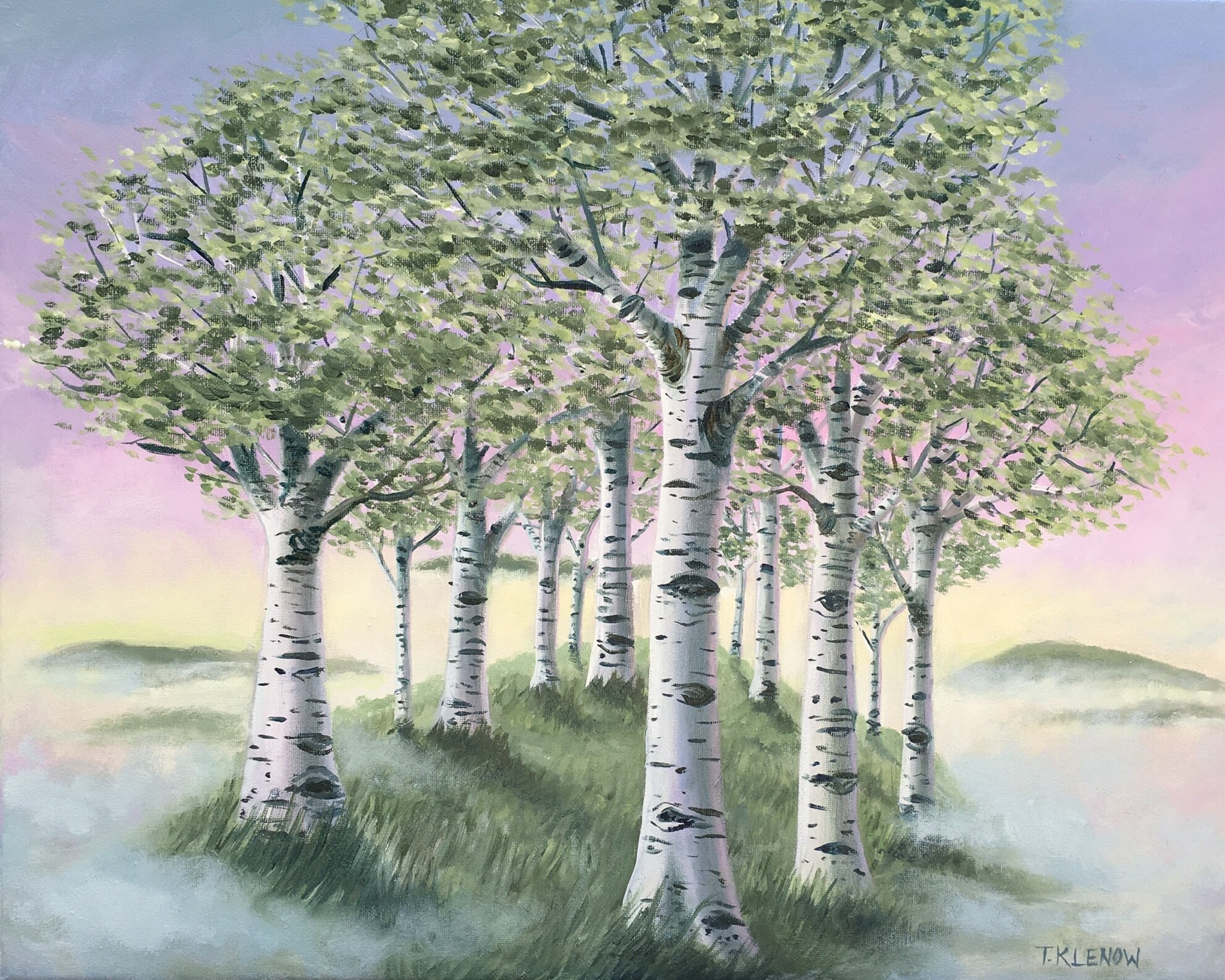 Birch Mist