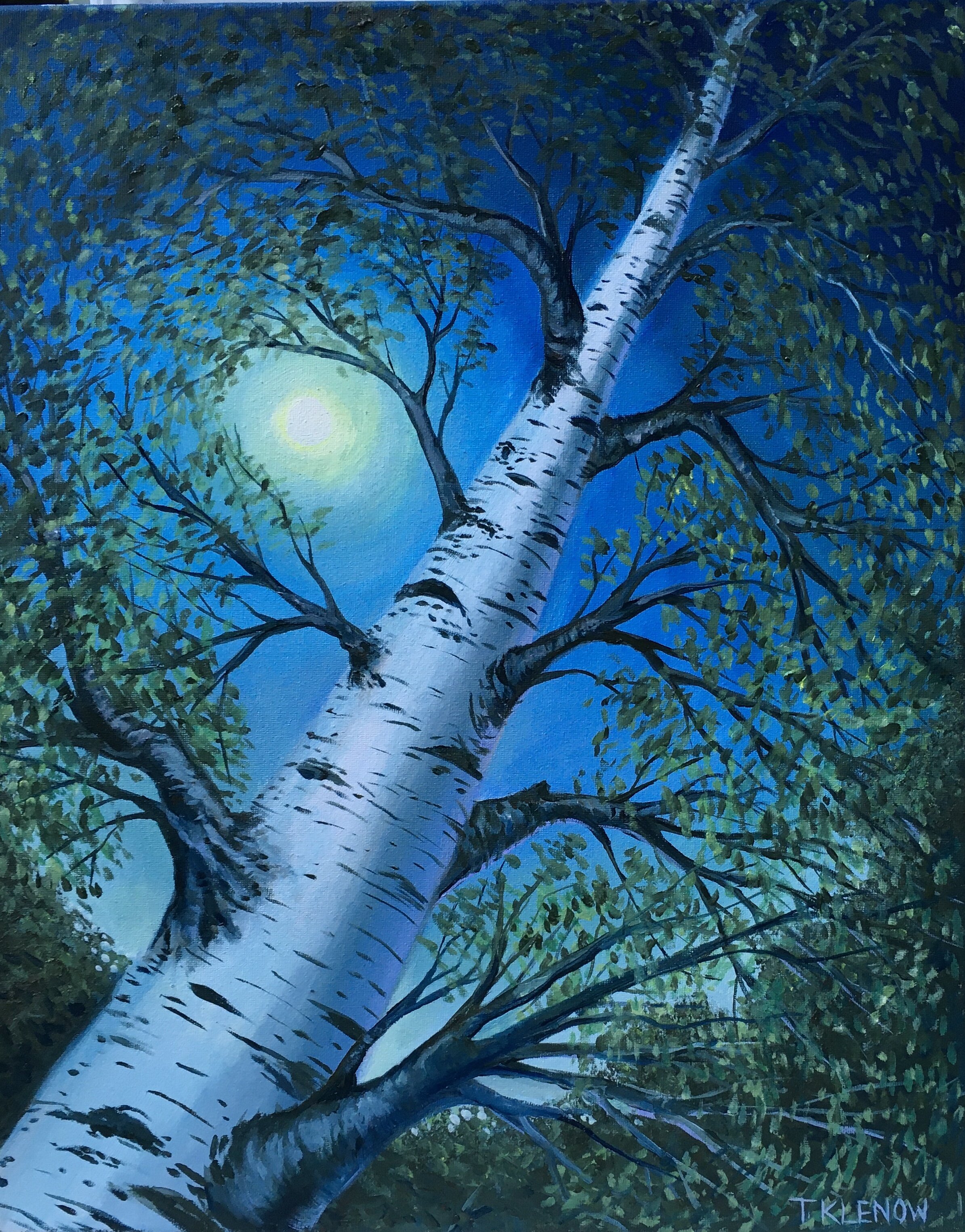 Birch Afternoon