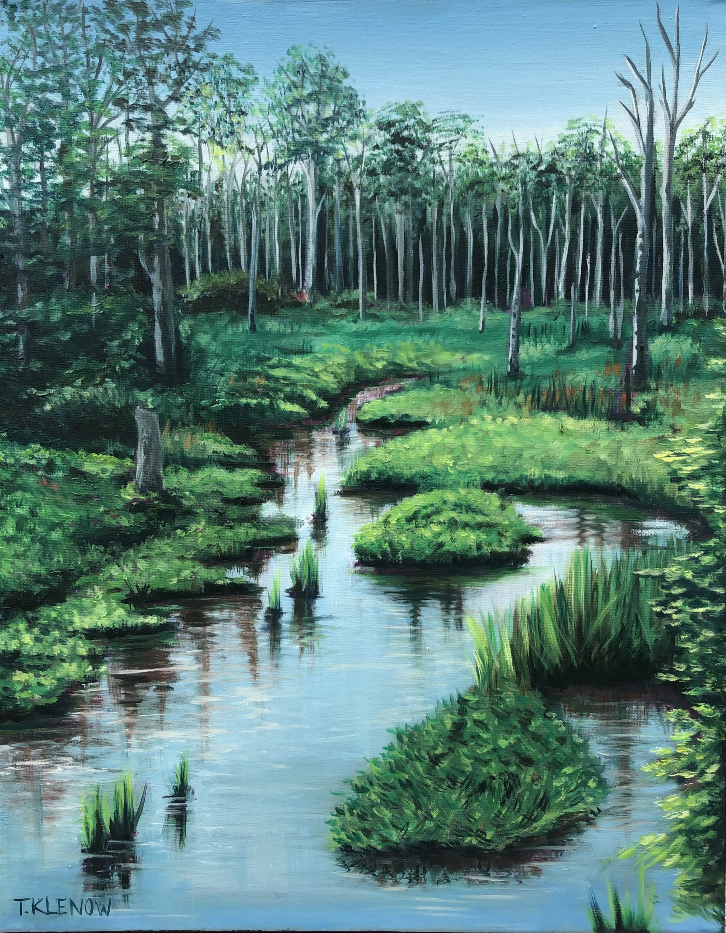 Swamp II