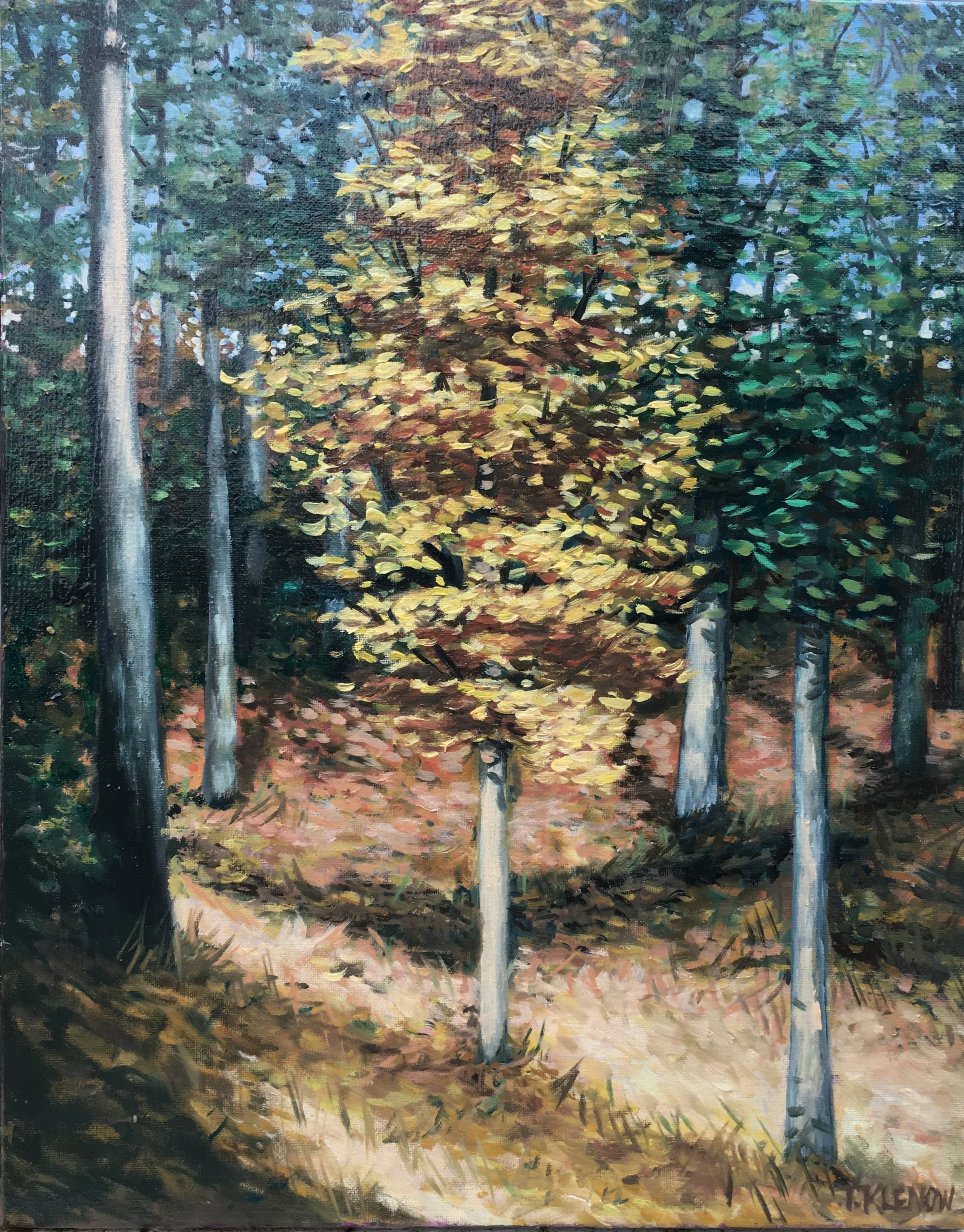 Hickory