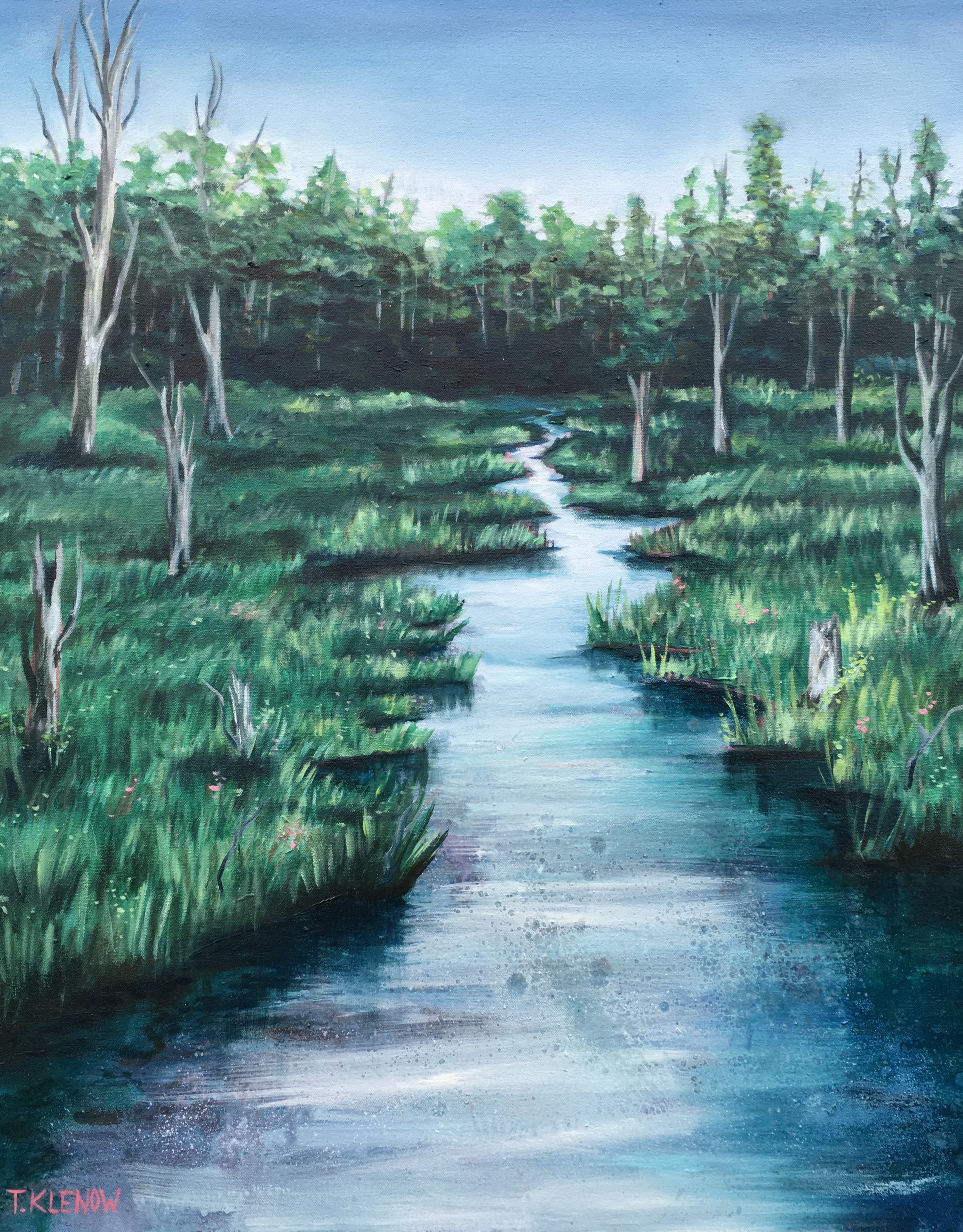 Swamp