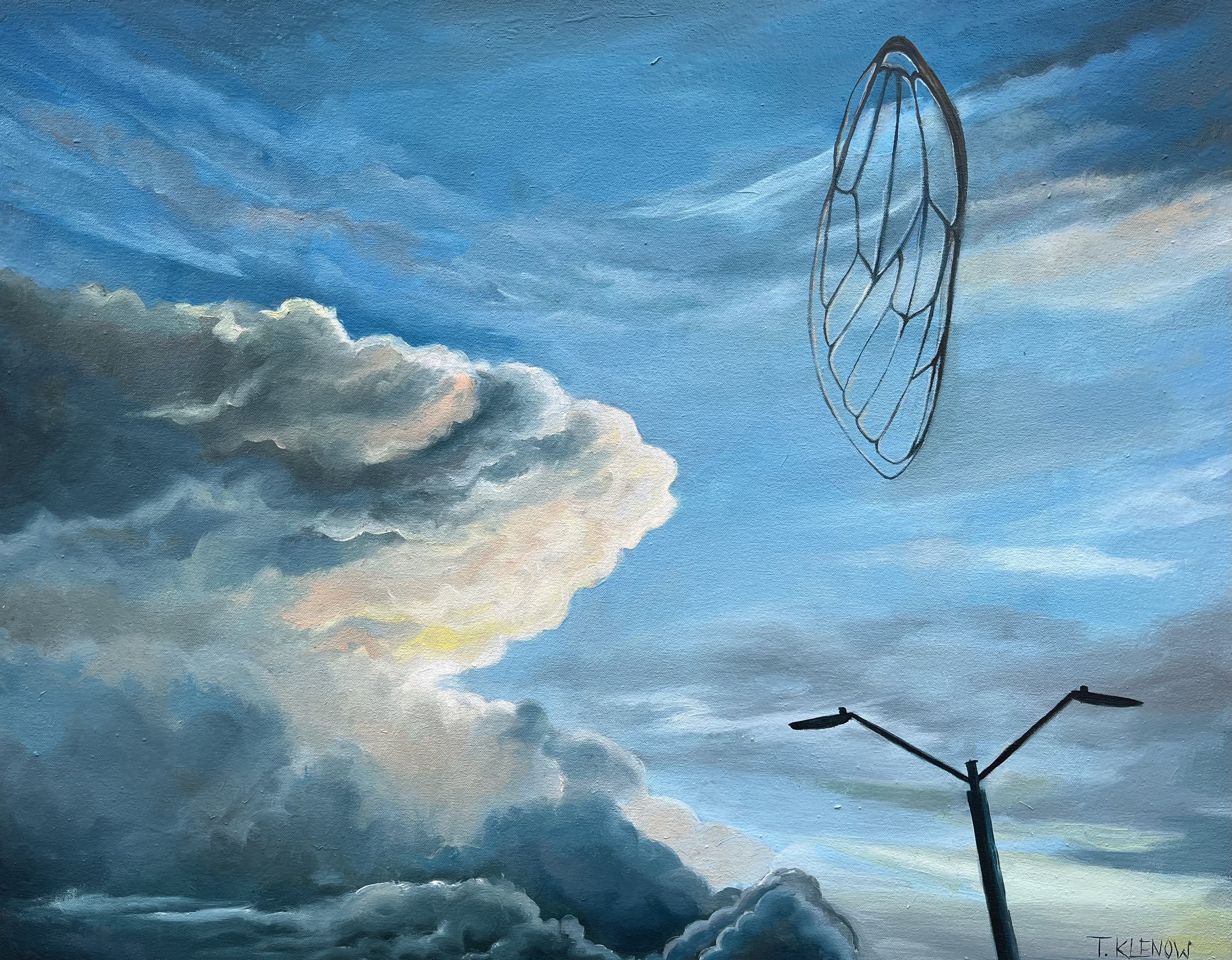Cicada Storm