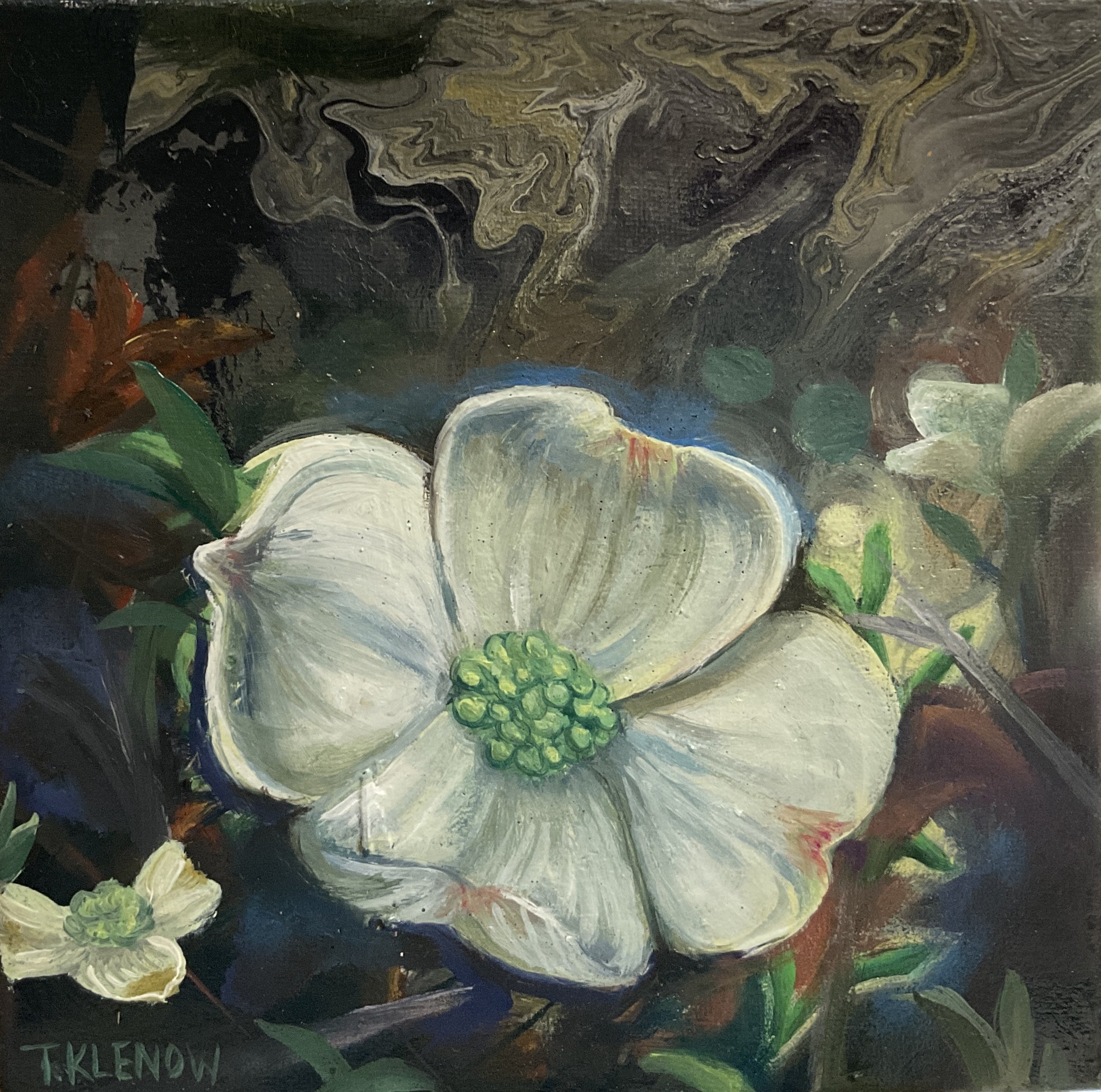 Dogwood