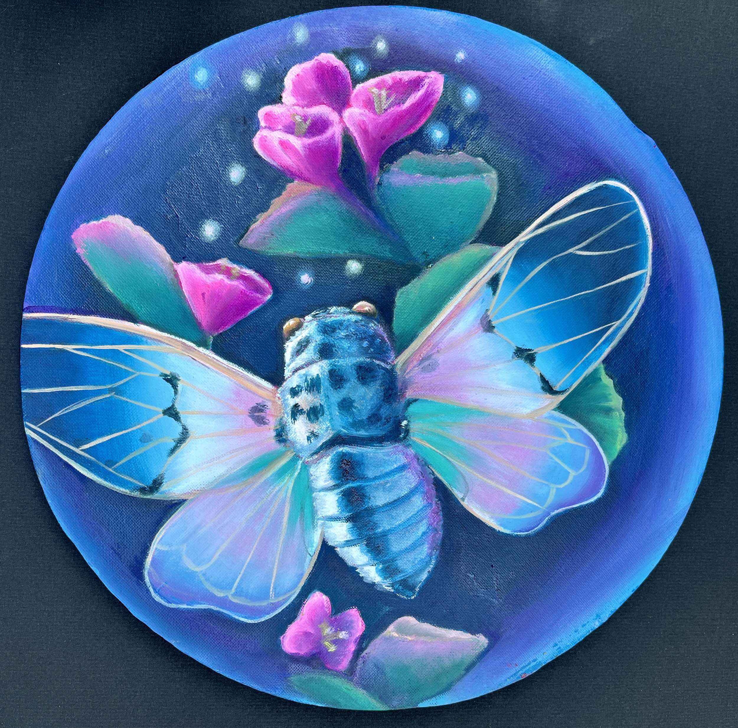 Ghost Cicada