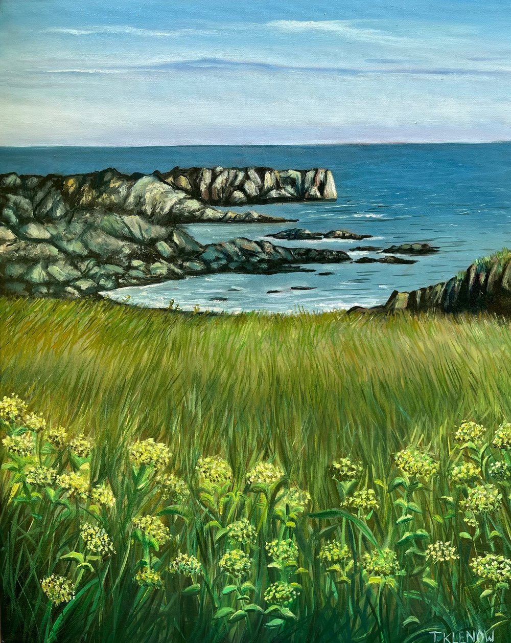 Coast of Northern Ireland