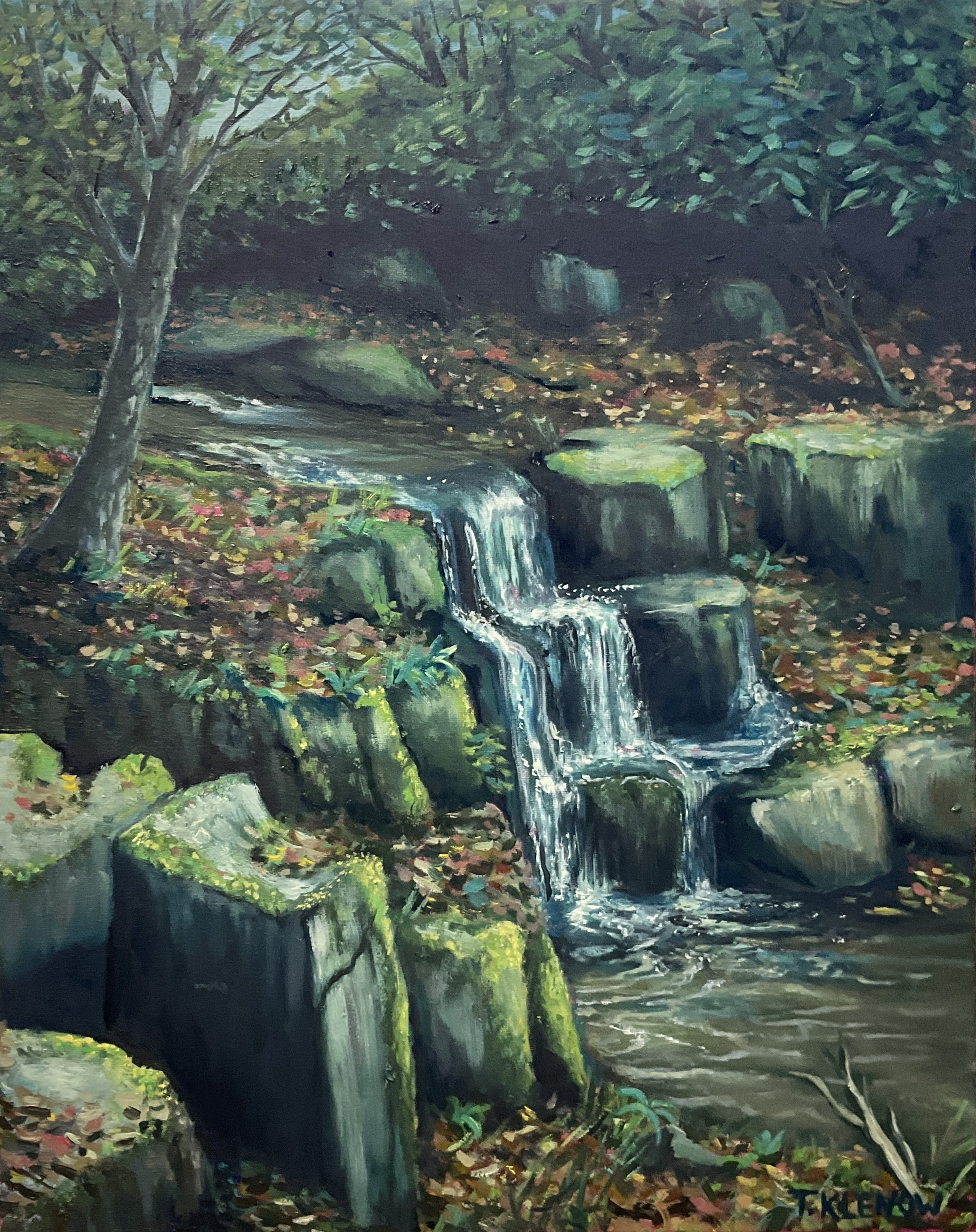 Private Falls