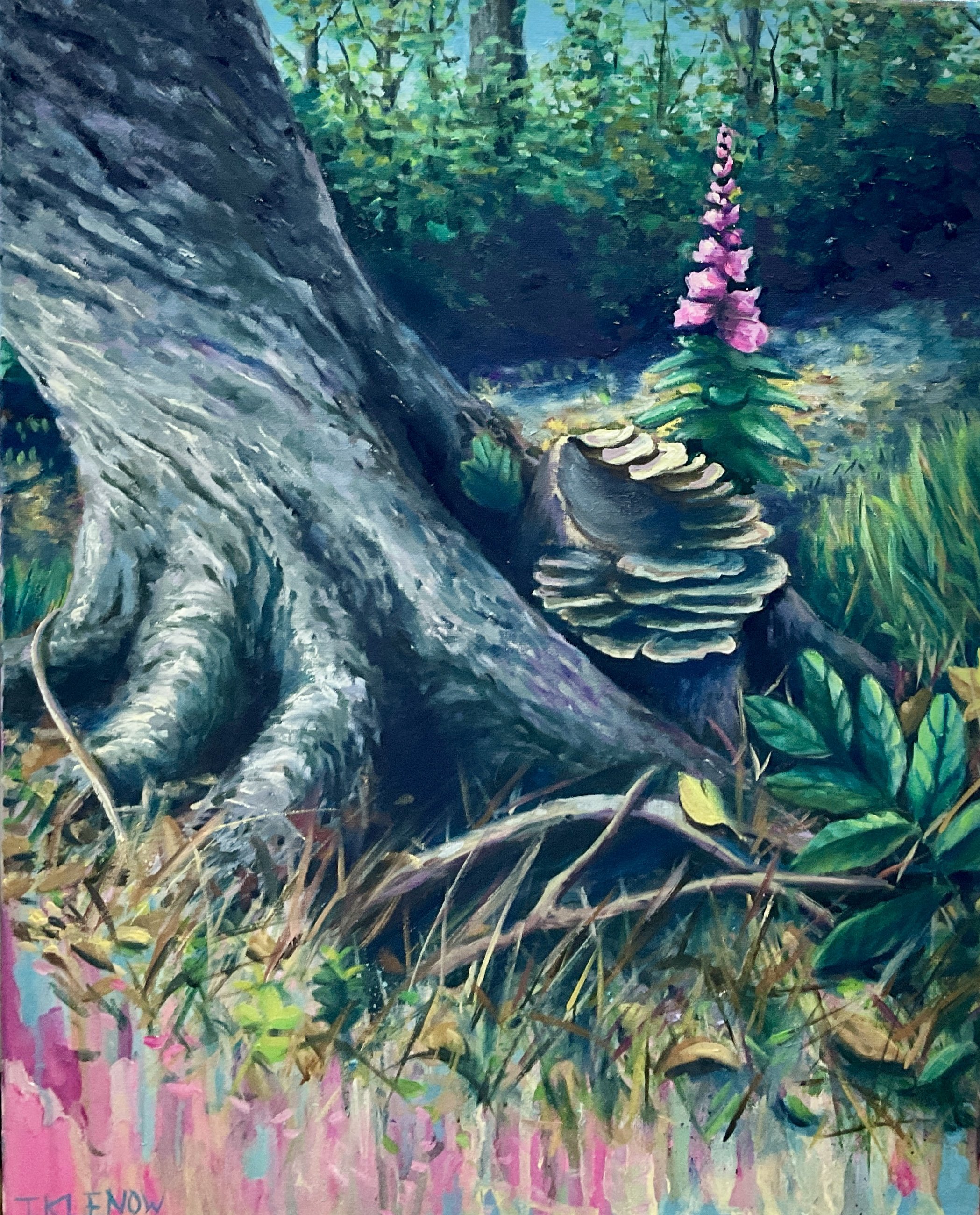 Foxglove