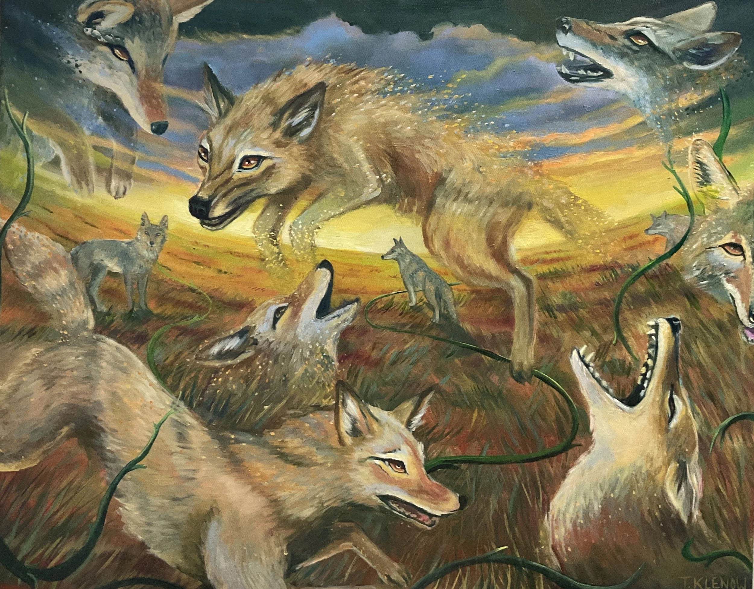 Canidae