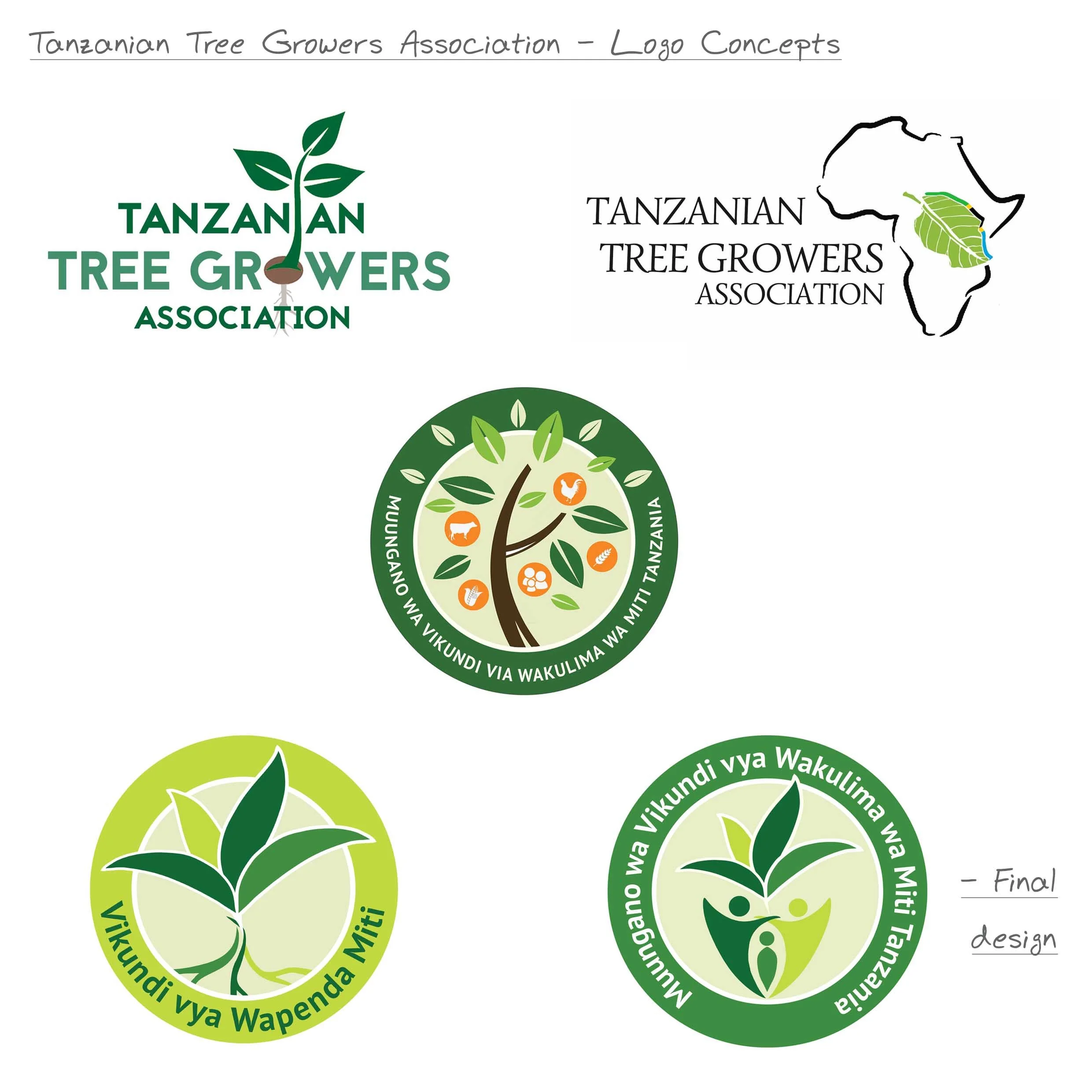 Tanzanian Tree Growers Logo concepts.jpg