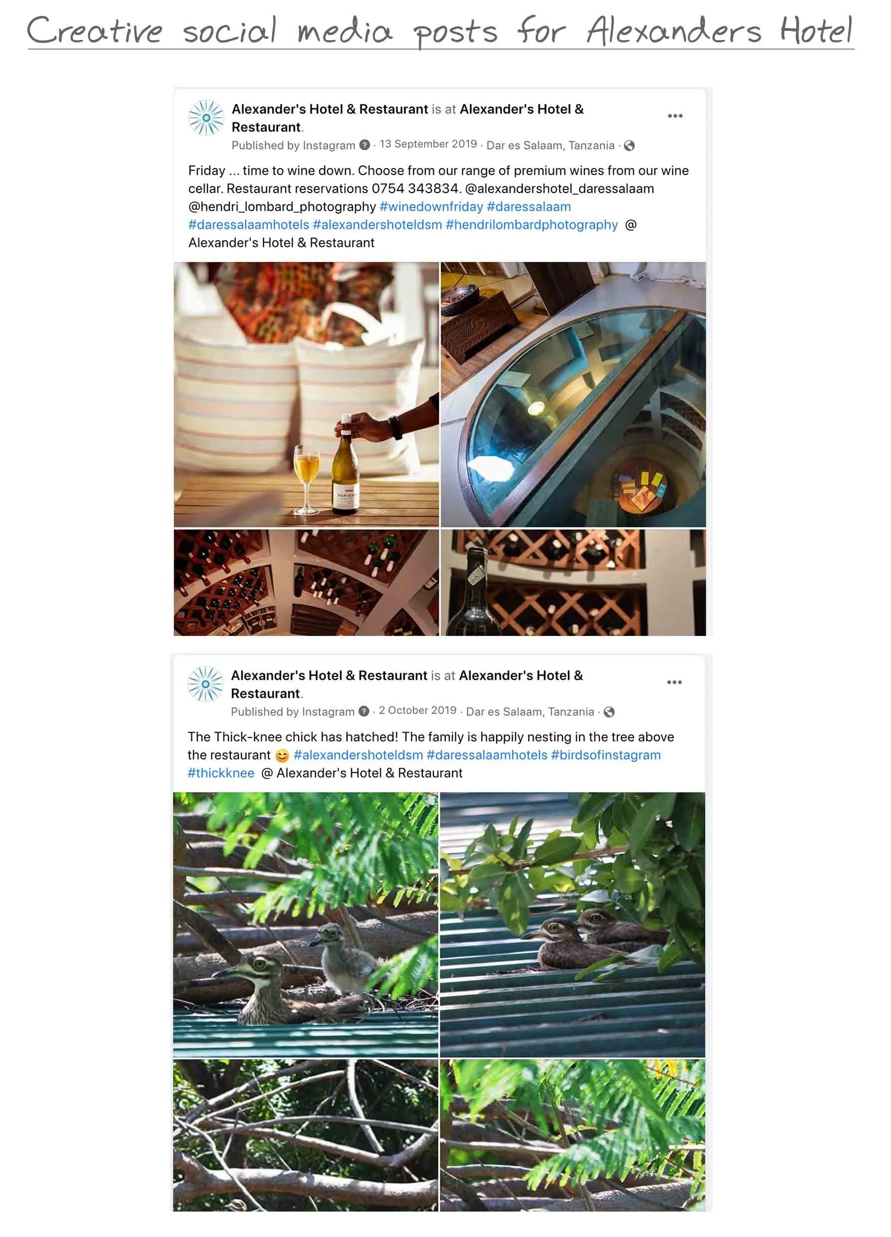 Social Media Alexanders 1.jpg